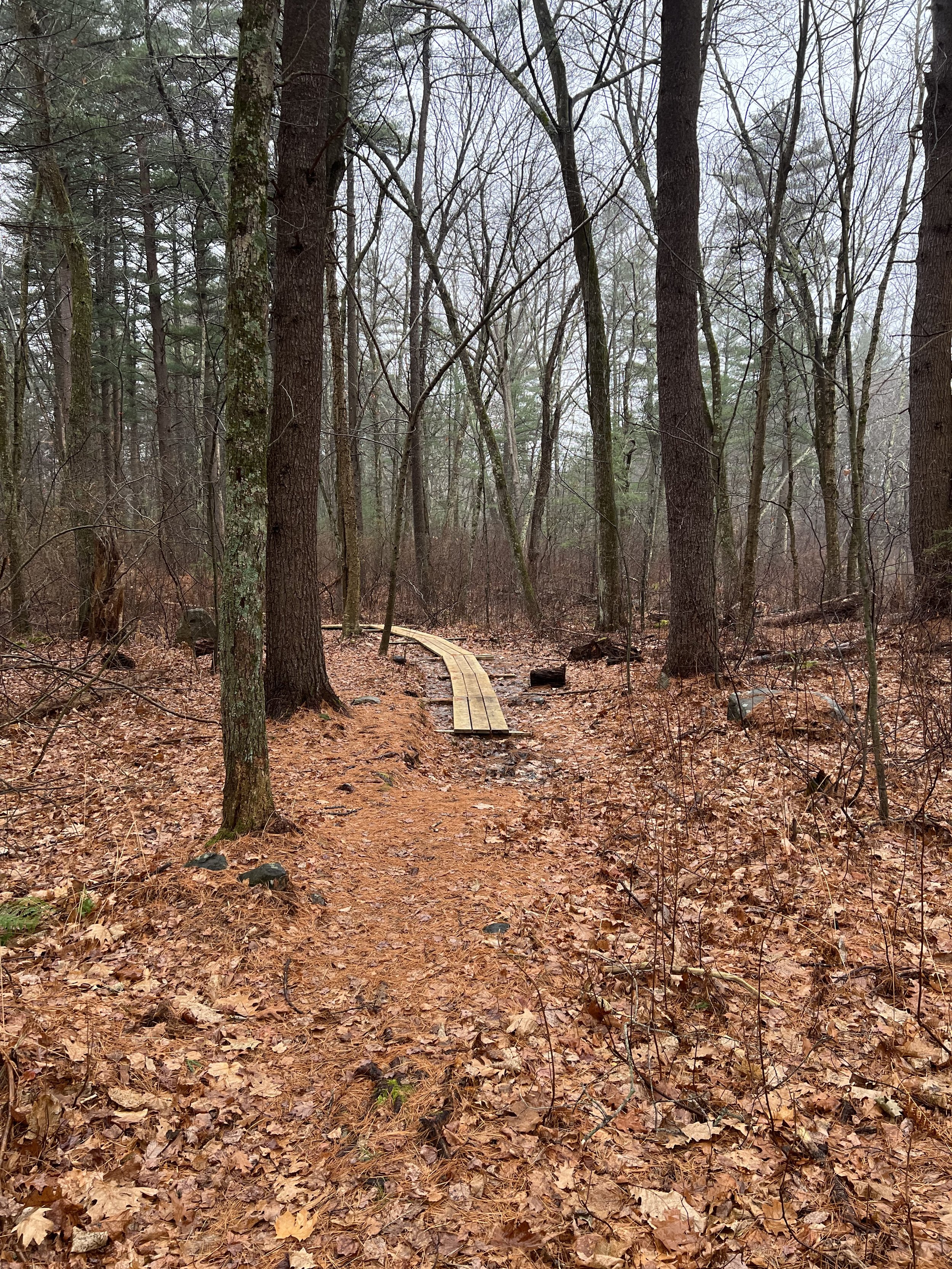 Explore Bruin Hill Reservation