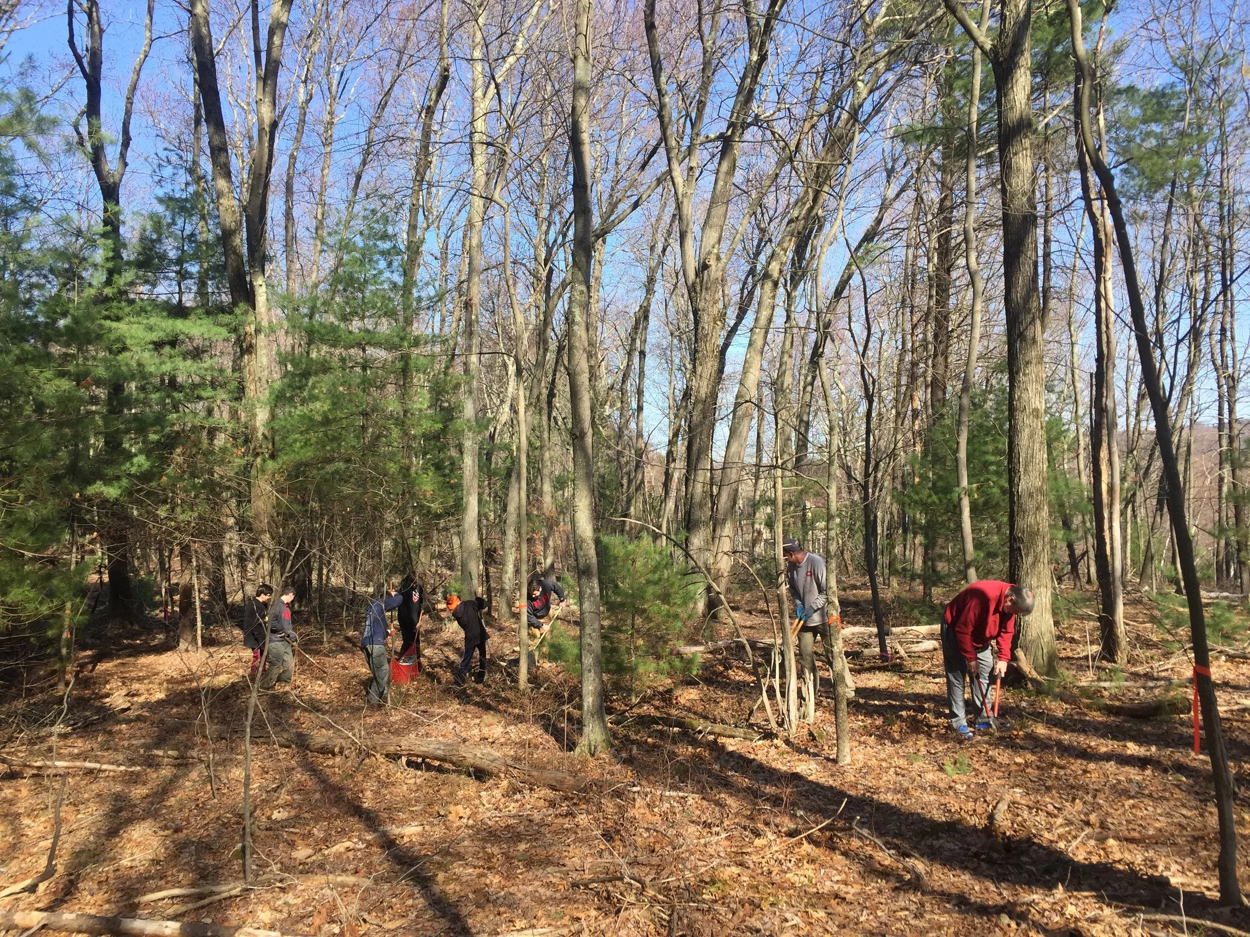 Saturday Trail Work Day at Woodchuck Hill