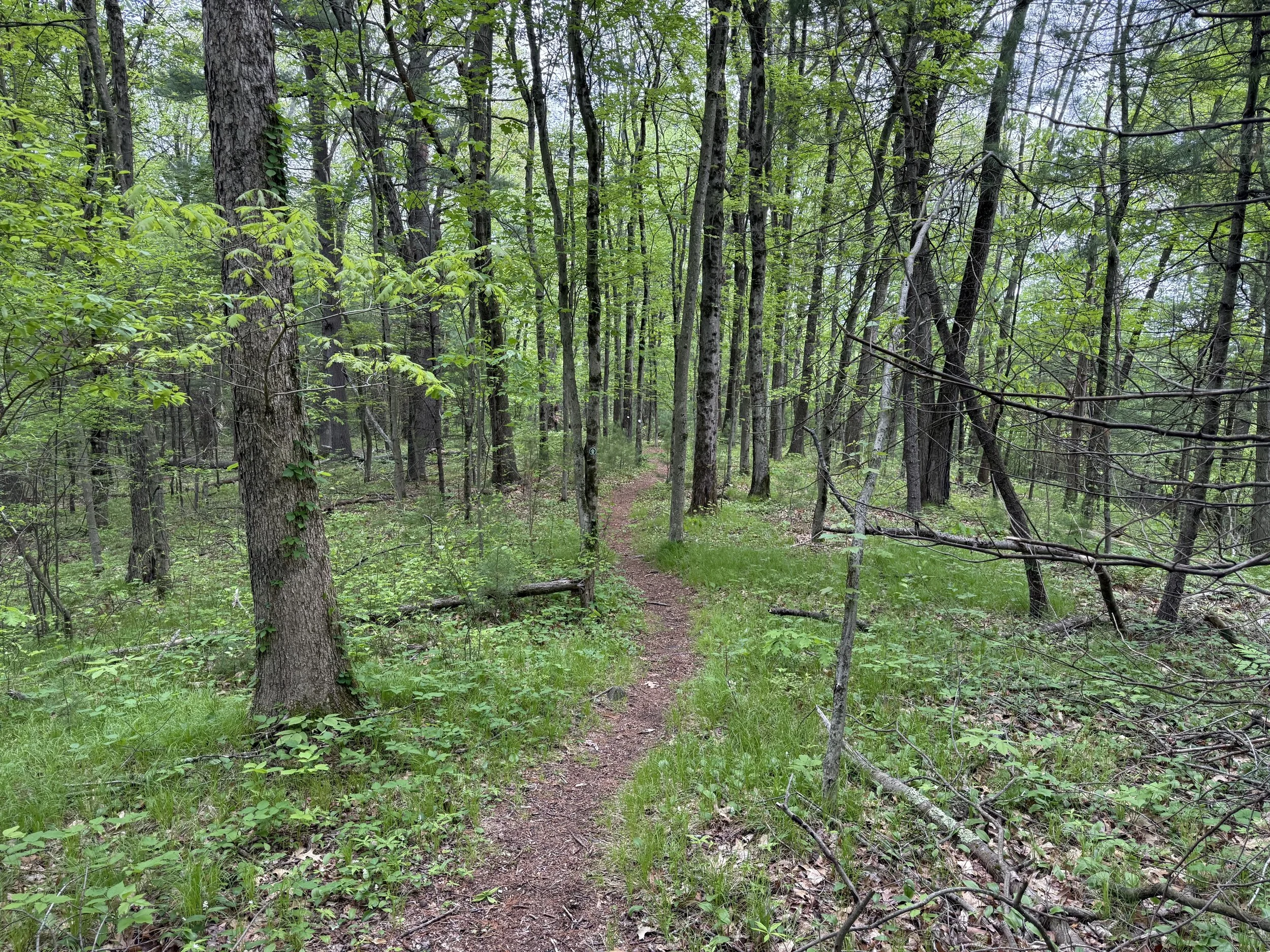 Saturday Trail Work Day at Mazurenko Farm and Carter Hill