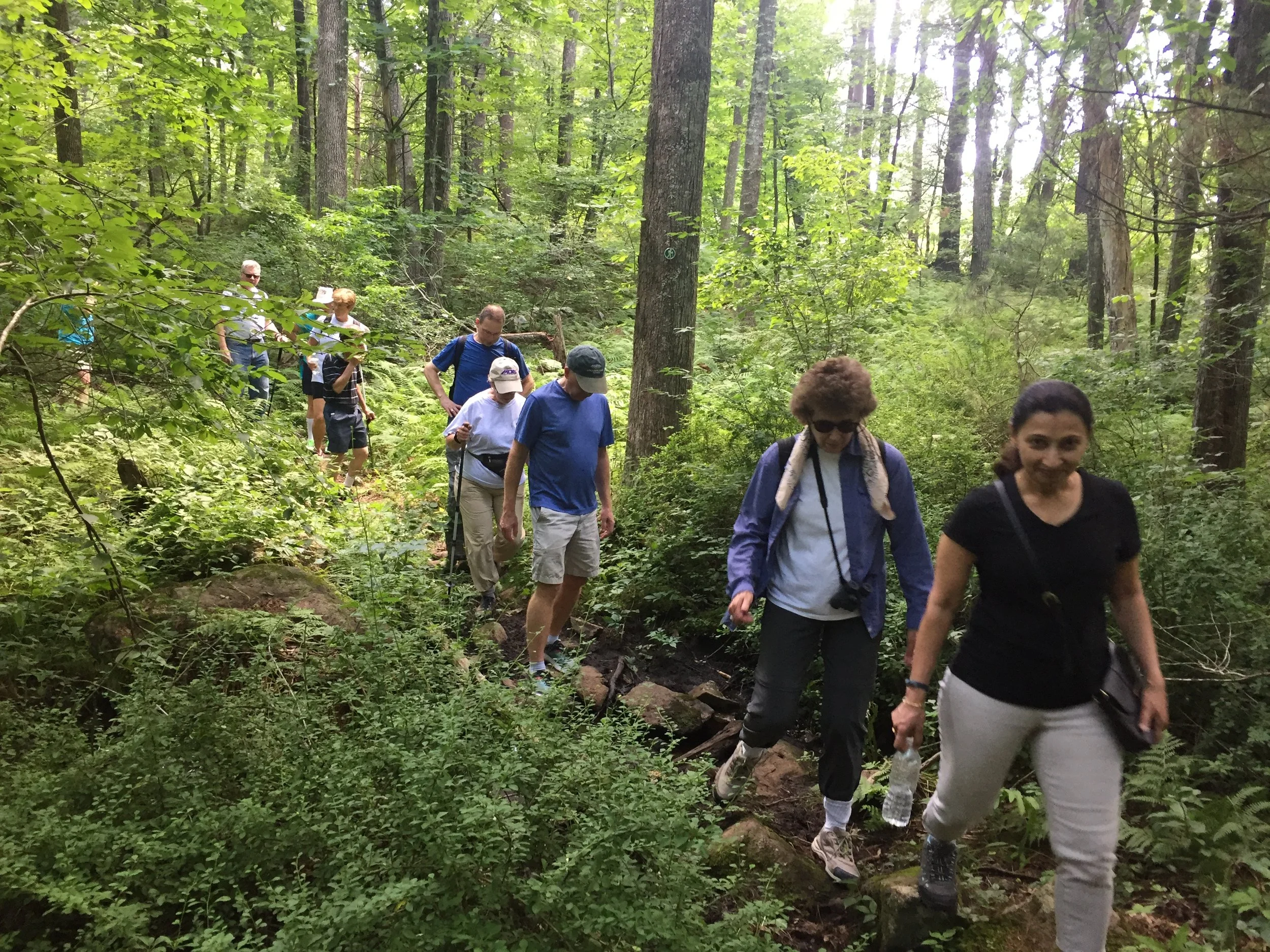 The Woodchuck Hill Trail