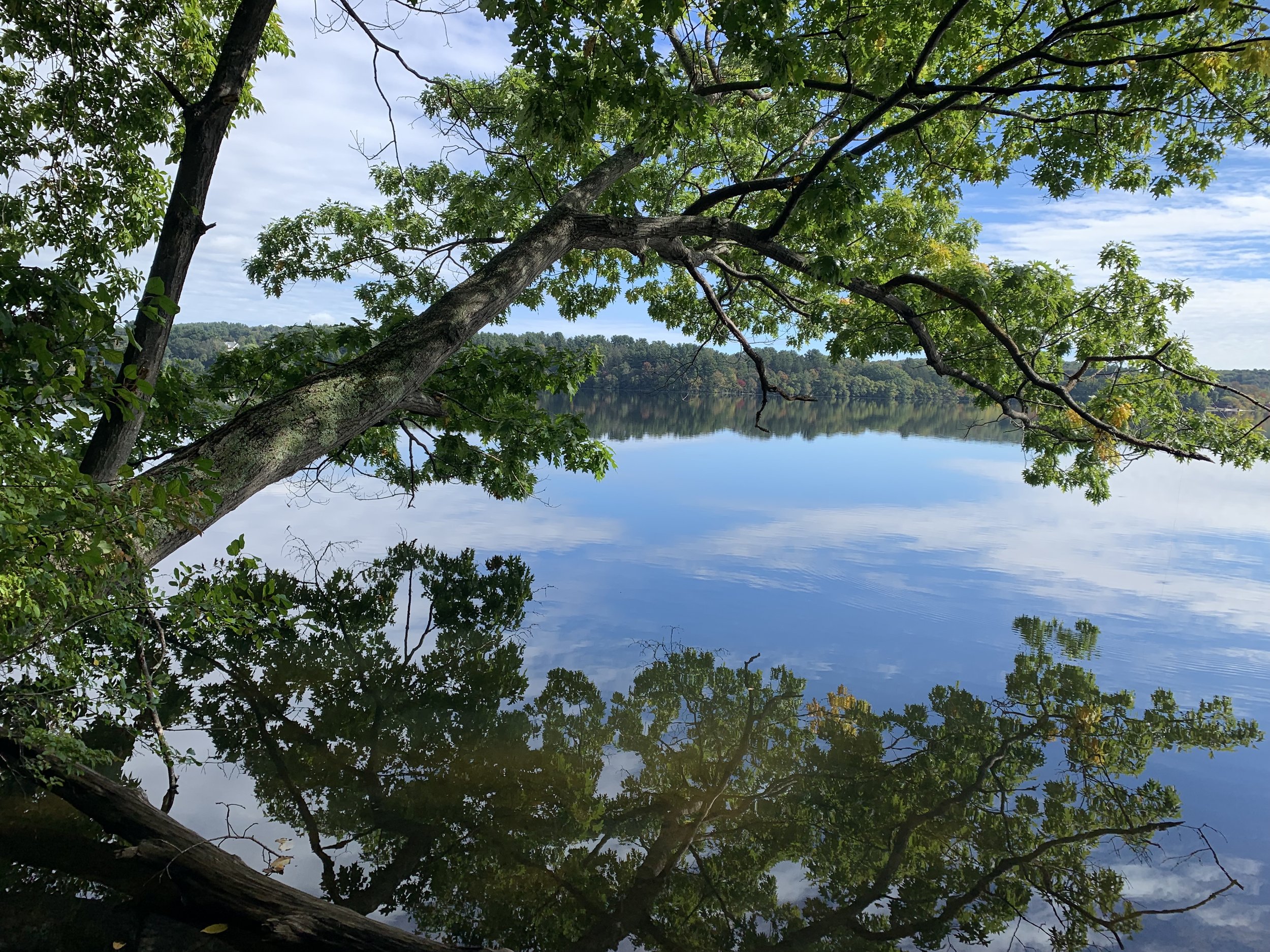 Lake Cochichewick Clean-up