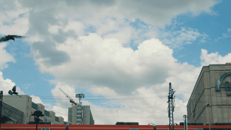 Udemy Student Mohamad Alaloush-high.gif