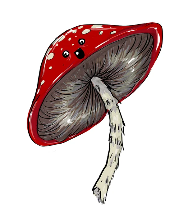 Shroom of Doom temporary tattoo