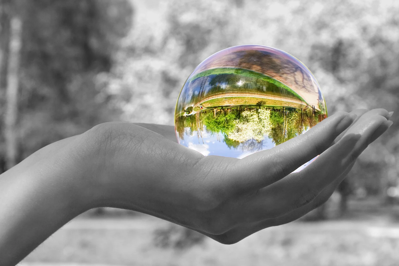 Psychic-Reading-2.jpg