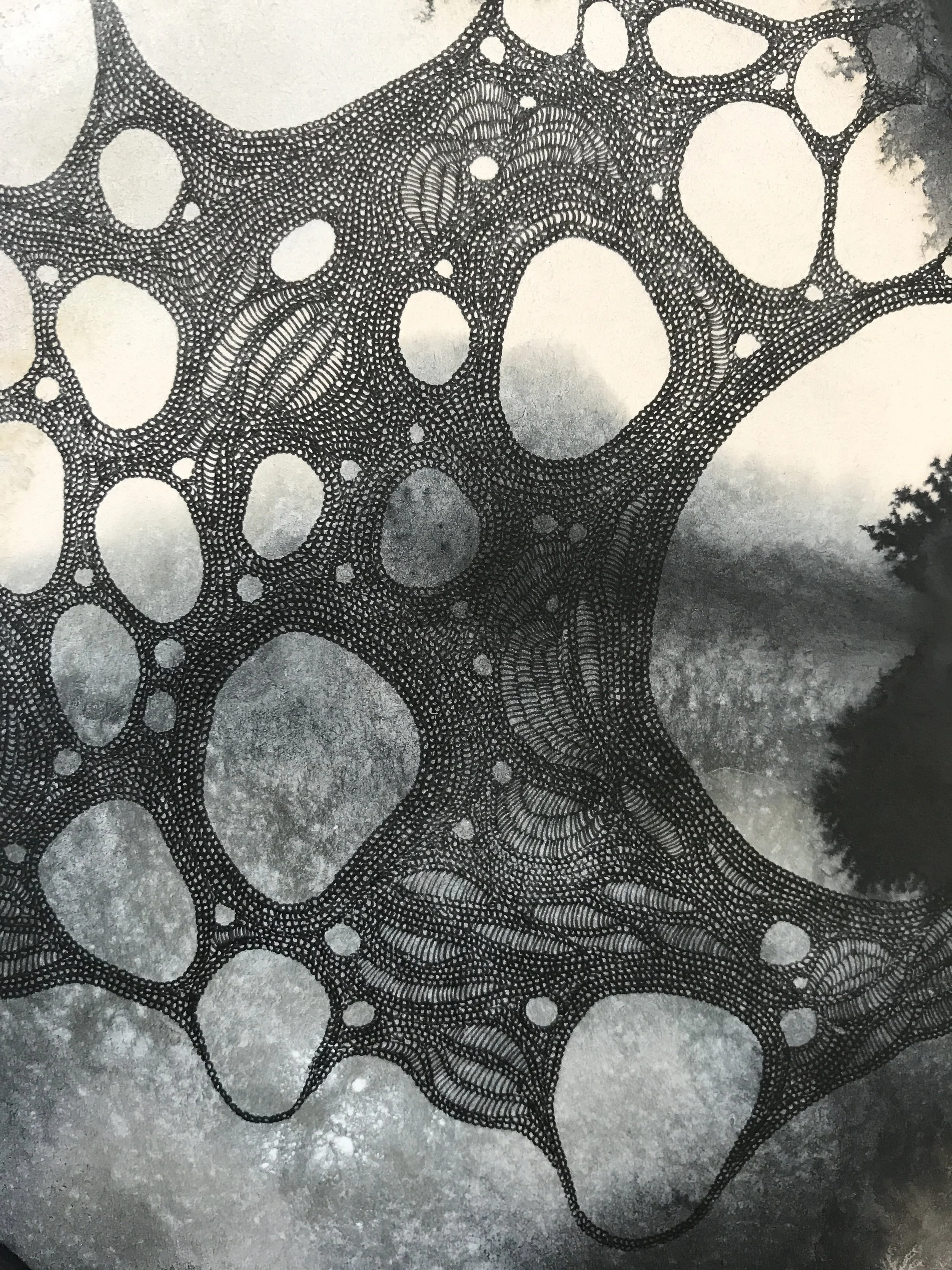 FullSizeRender 7.jpg