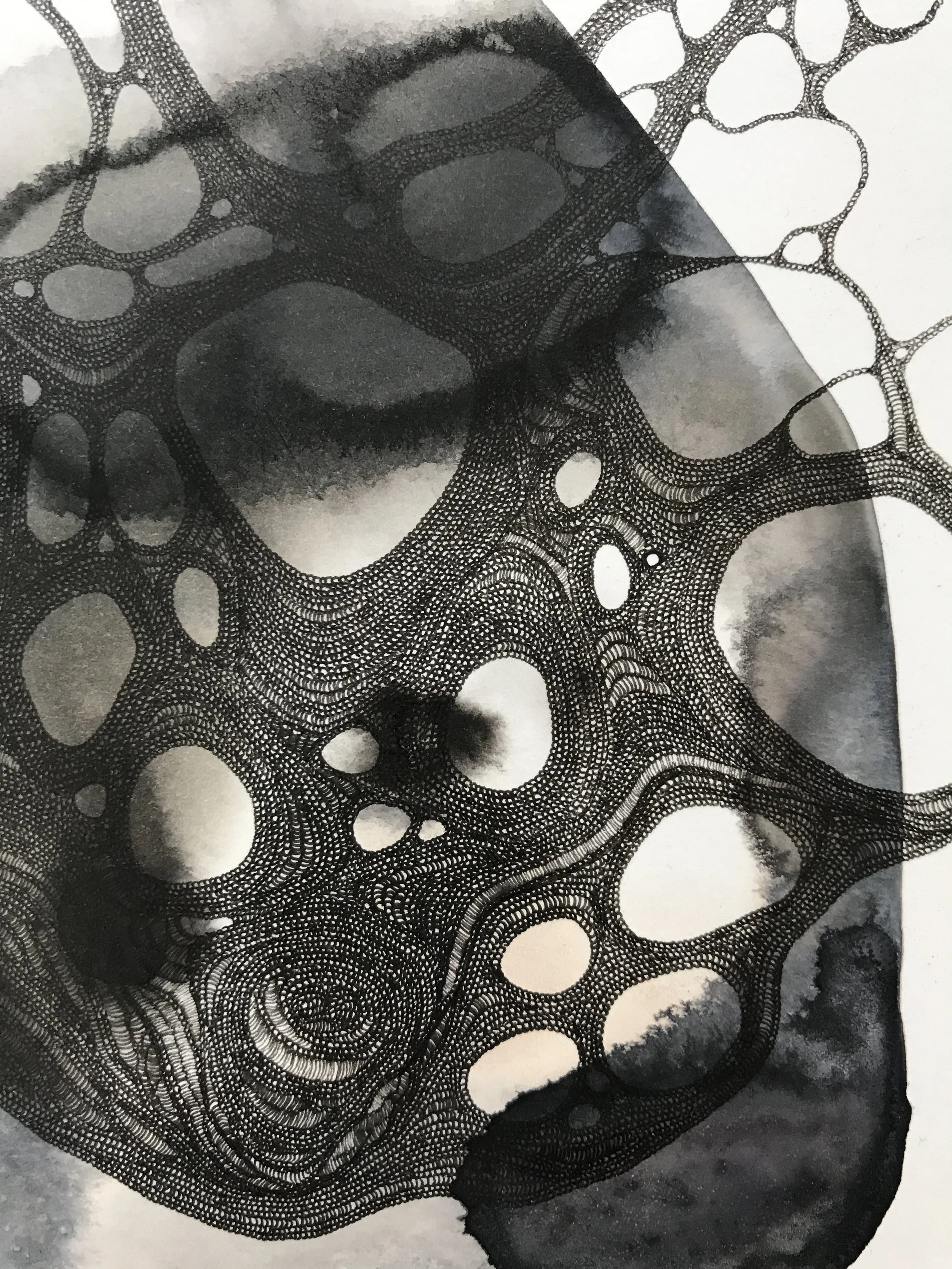 FullSizeRender 24.jpg