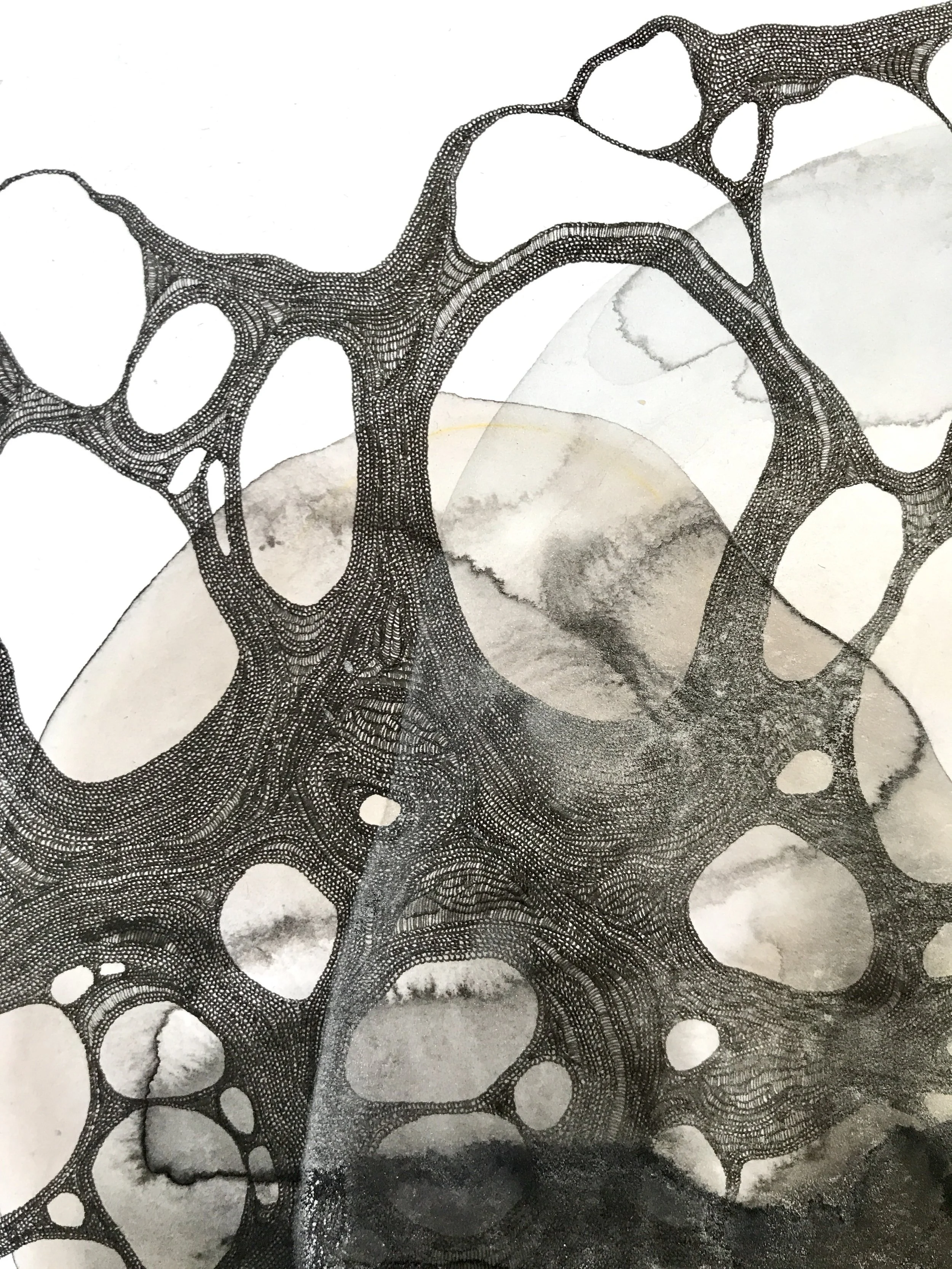 FullSizeRender 10.jpg