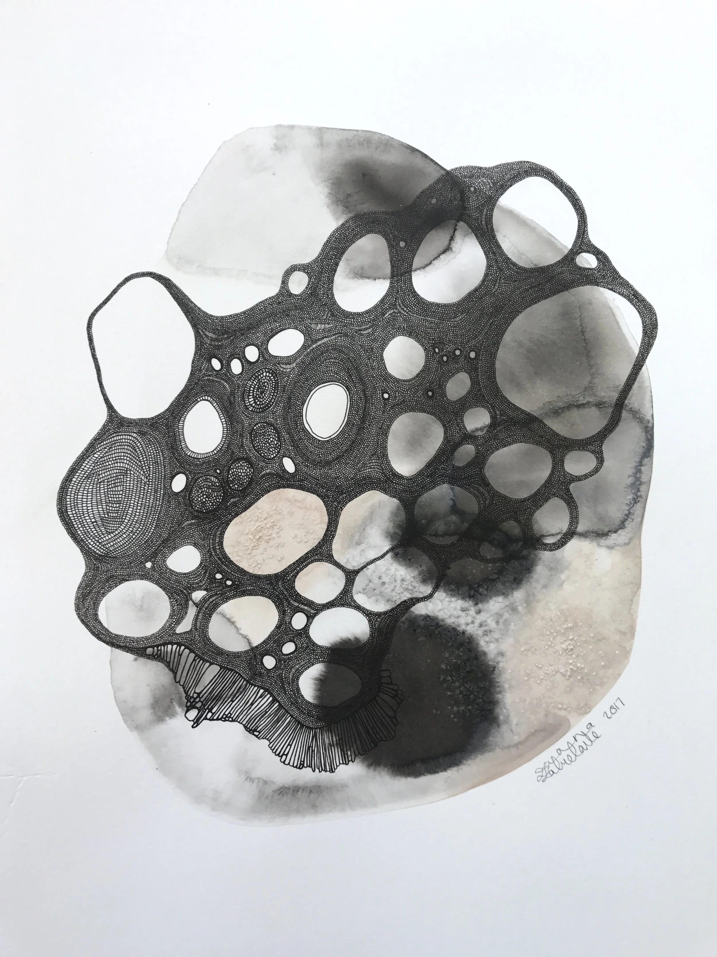 FullSizeRender 35.jpg