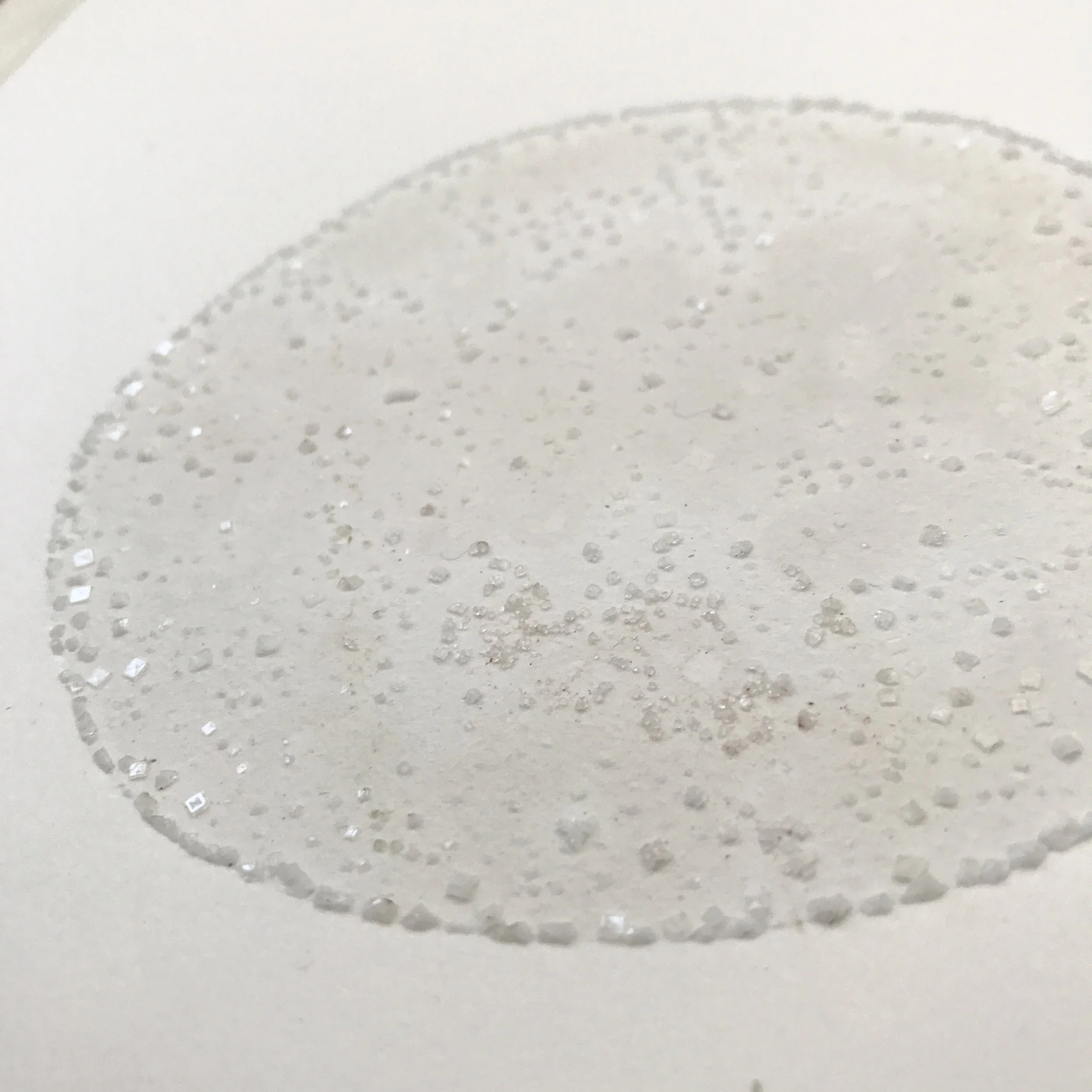 FullSizeRender 15.jpg