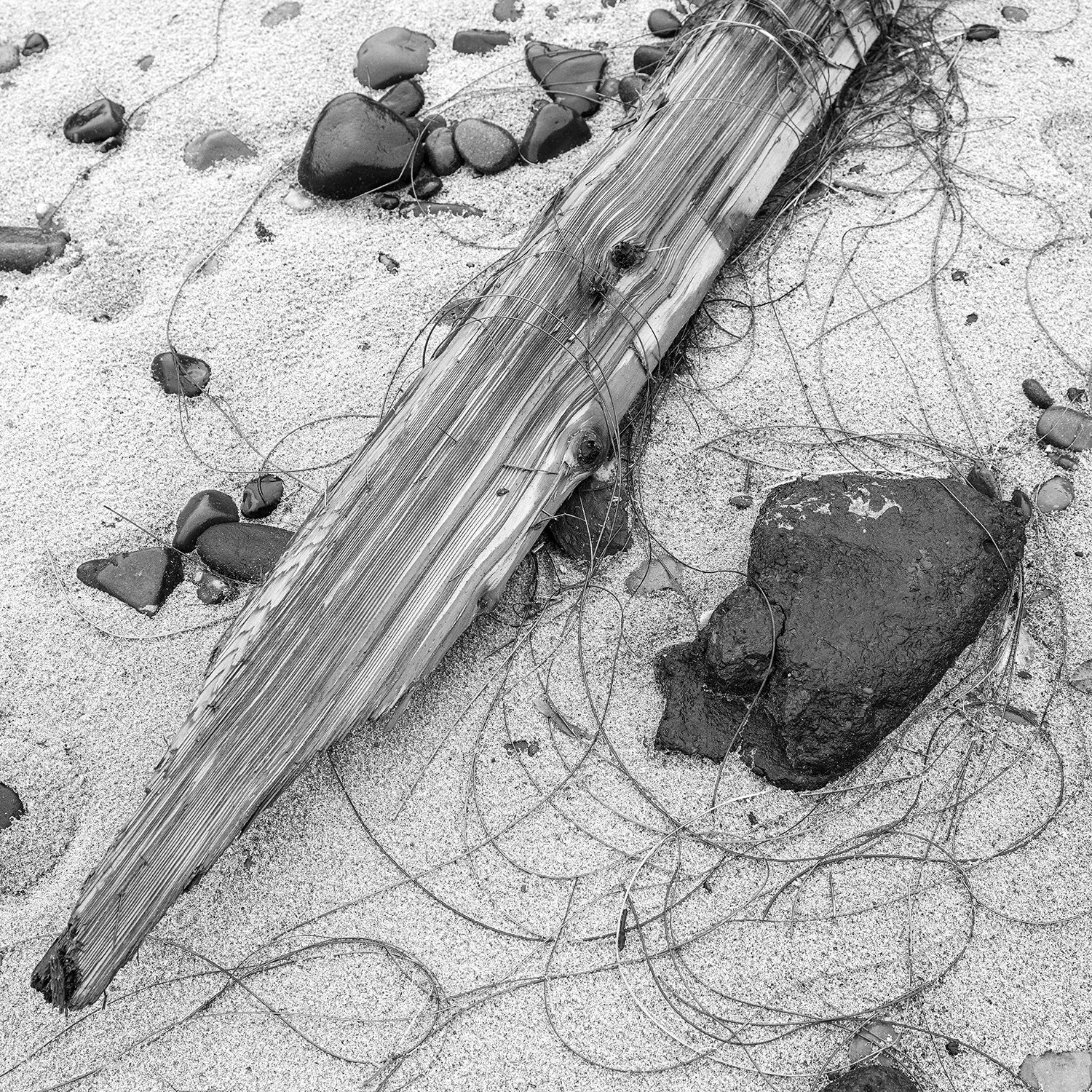 Wood debris on Fogarty Beach in Lincoln, County, Oregon.