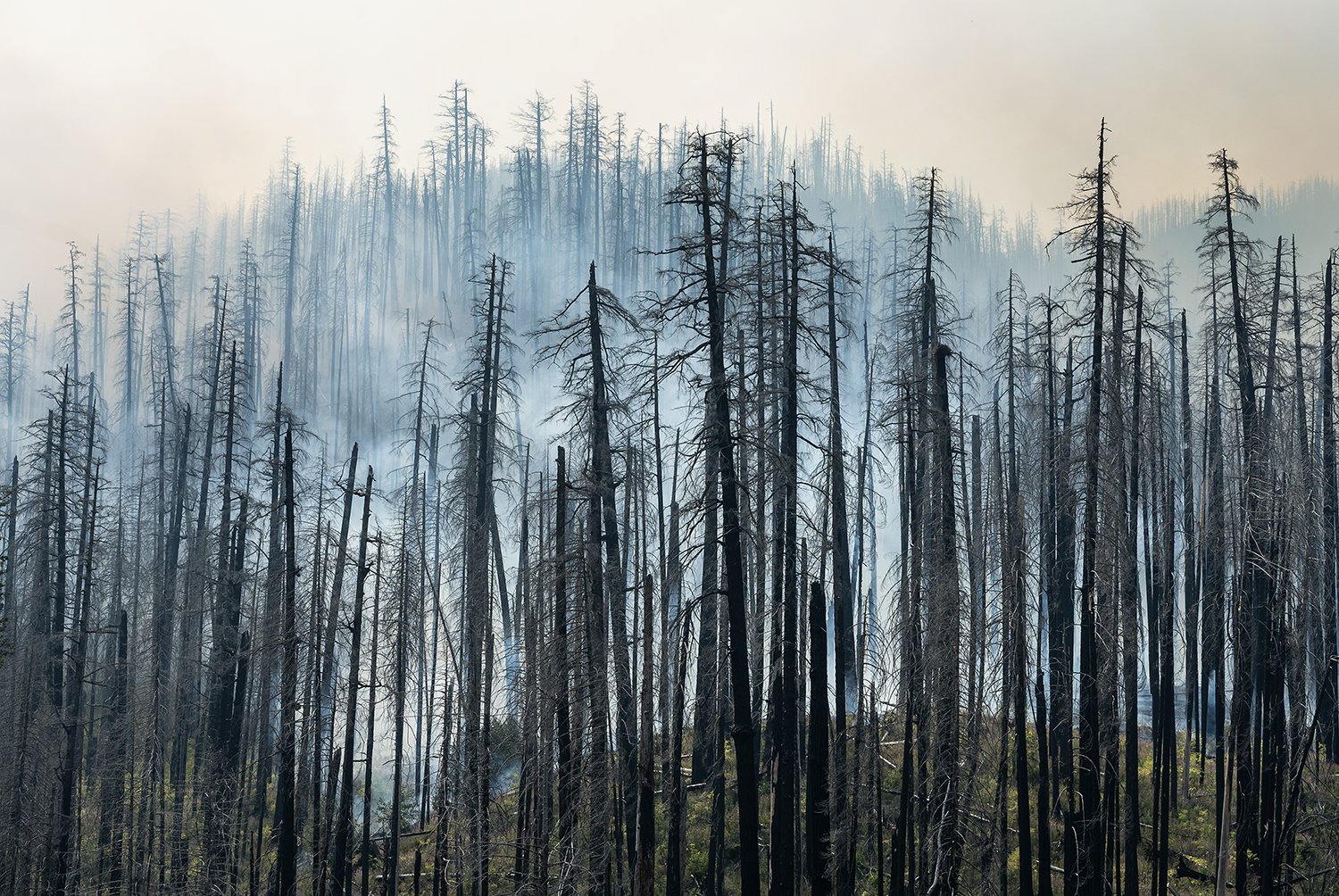  A view of the Narrow Fire along the Clackamas River in the Mt. Hood National Forest after starting small and climbing over the ridge and getting larger on the other side. It is burning in scar of the 2020 Riverside Fire. 