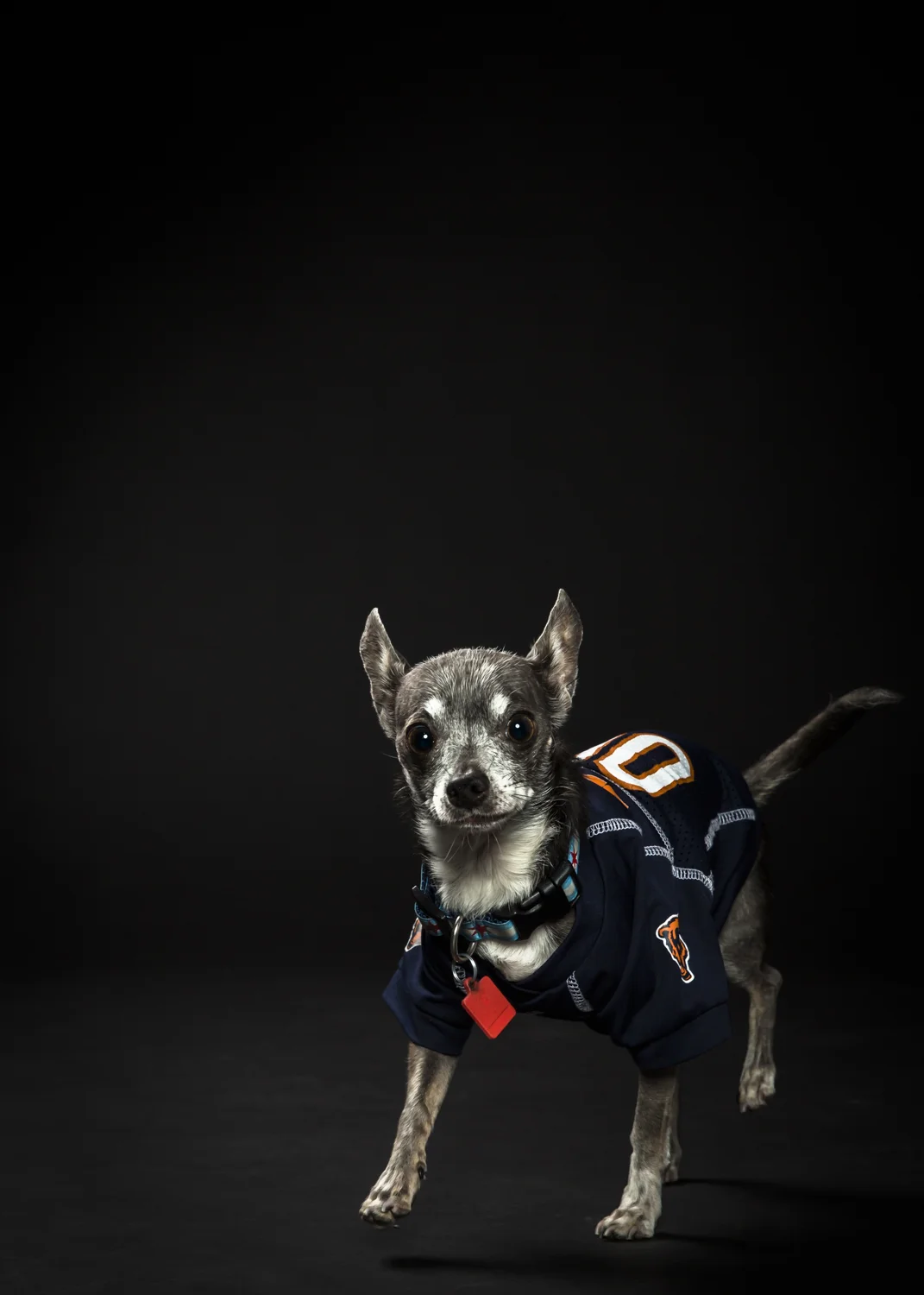 COOP-SHOOT-67.jpg