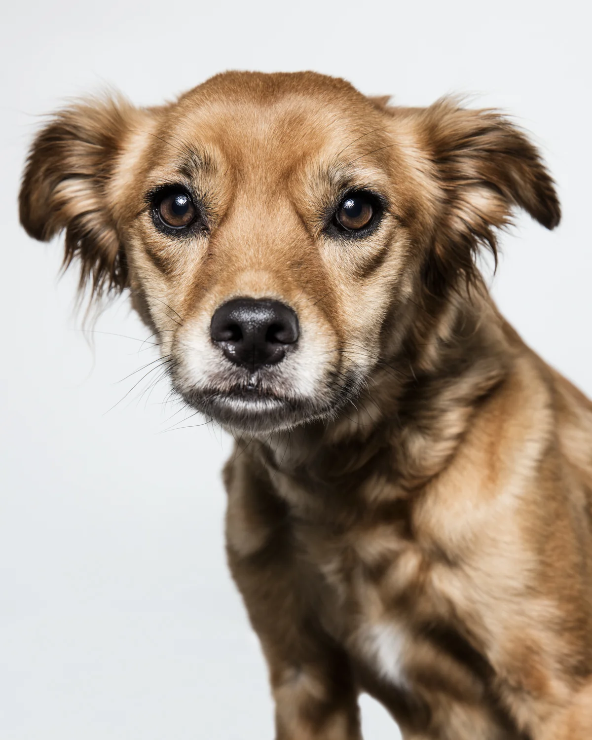 WILLOW-12-2.jpg