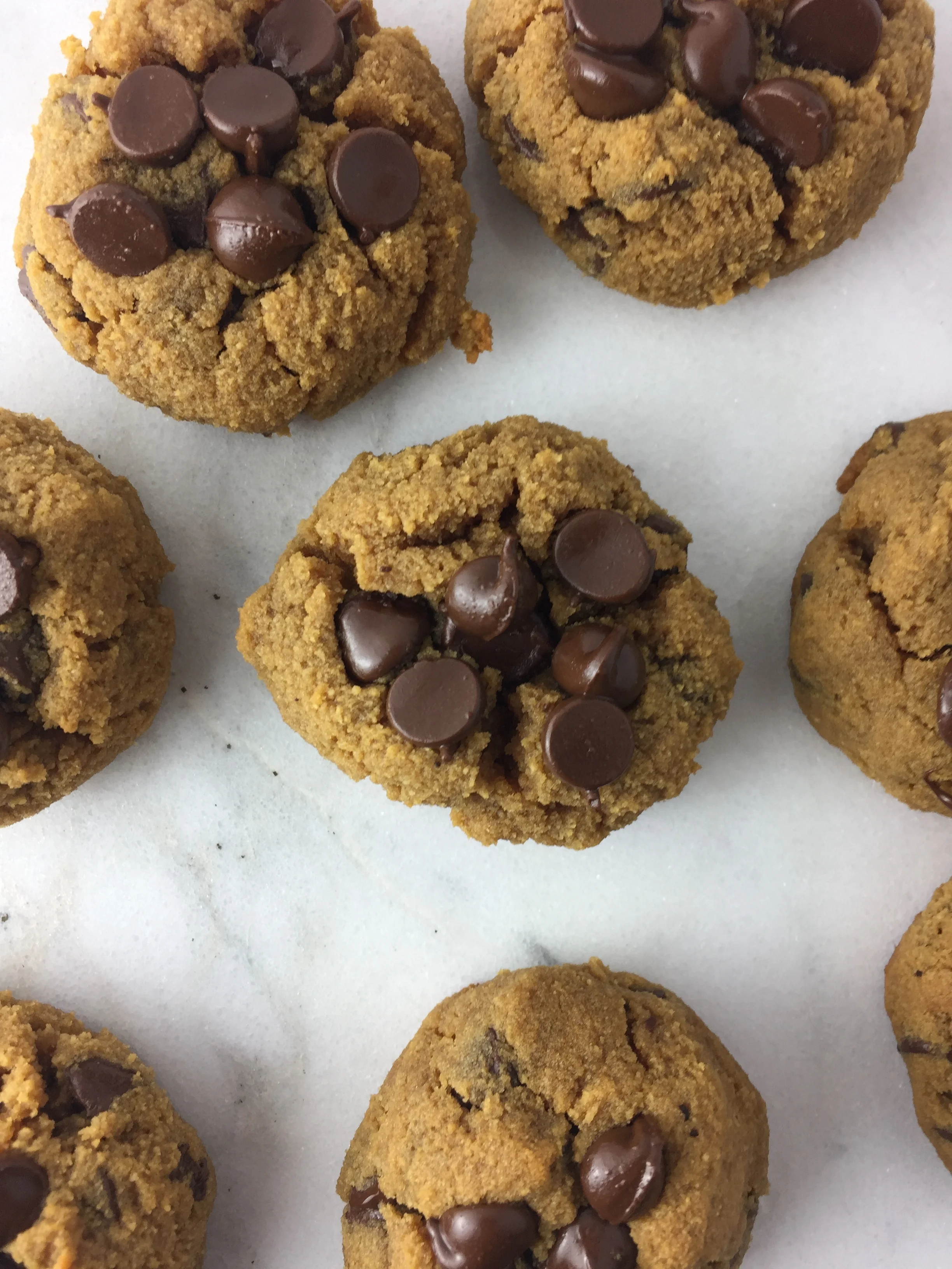 Coconut Flour Chocolate Chip Cookies