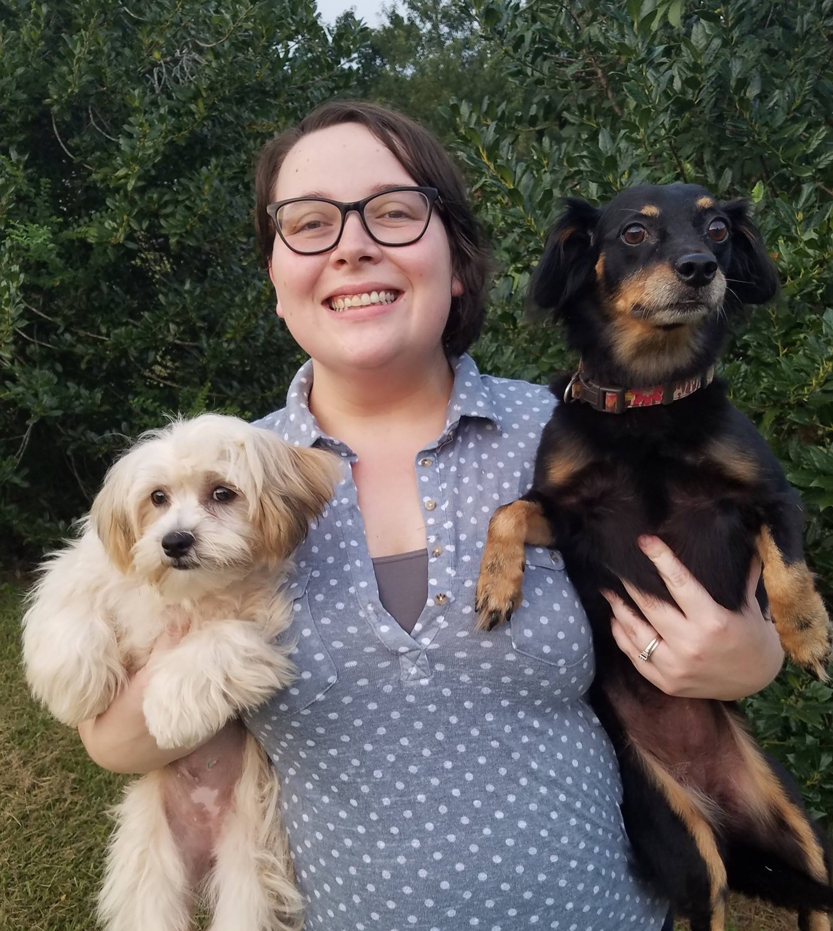 About Us — The Dawg House Playground & Salon