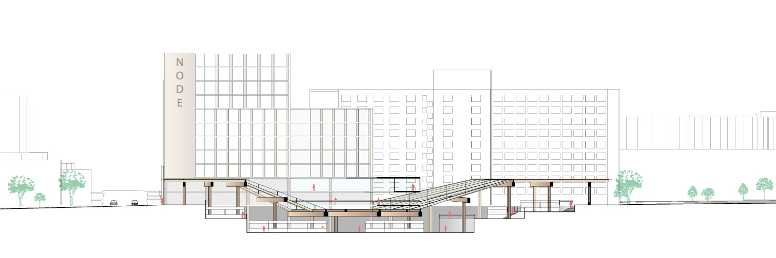 Section | Glass-timber canopy diving downwards, echoing the stepping of the subgrade market