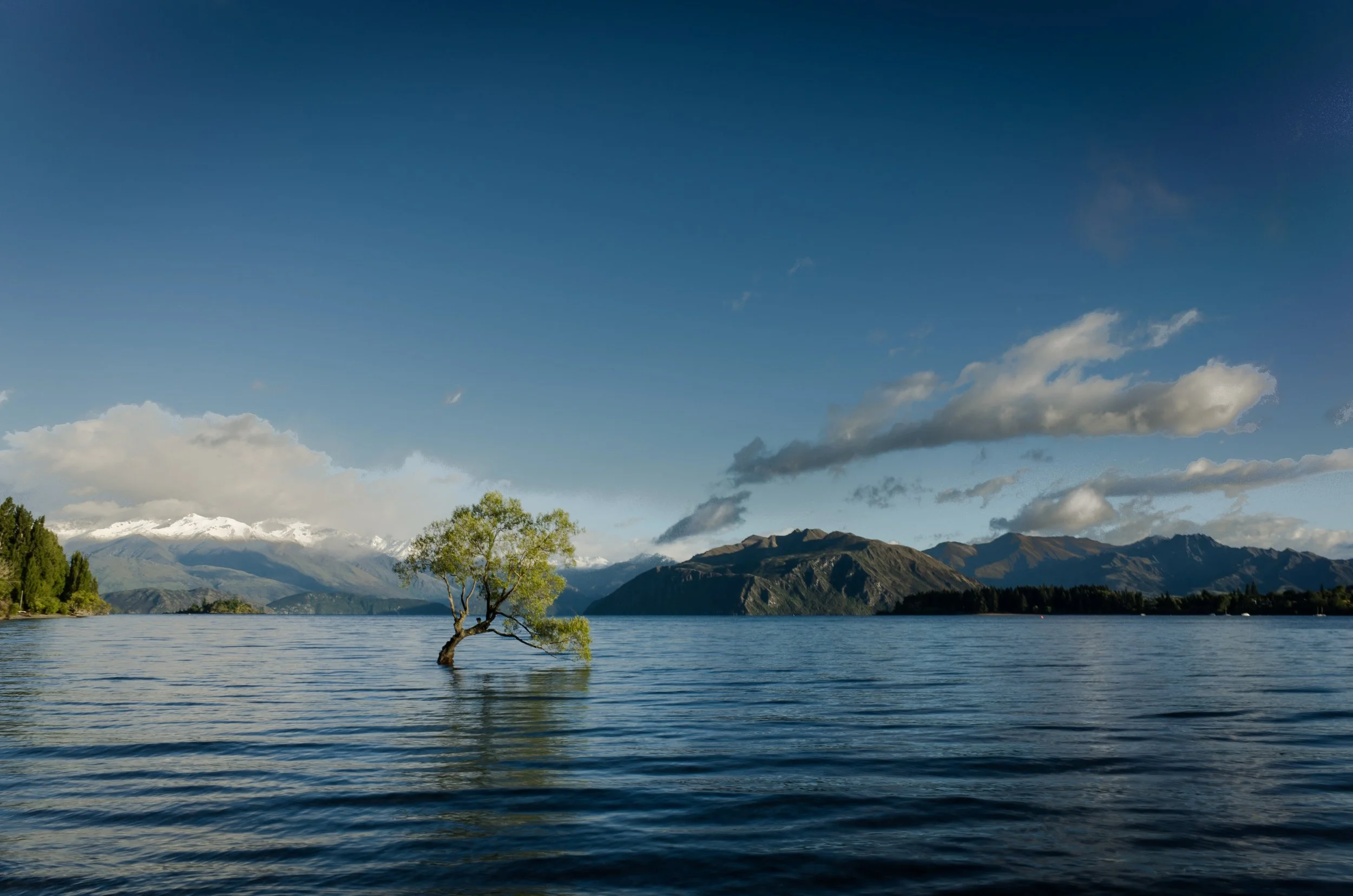 In Jesus baptism a new creation humanity is emerging from the waters.