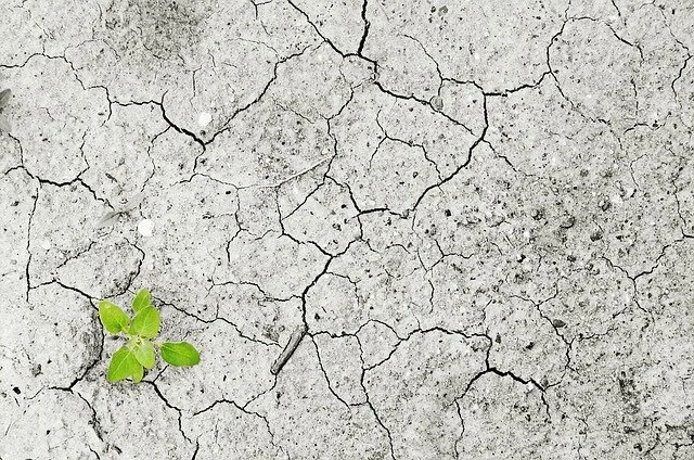 climate-change-1325882_640.jpg
