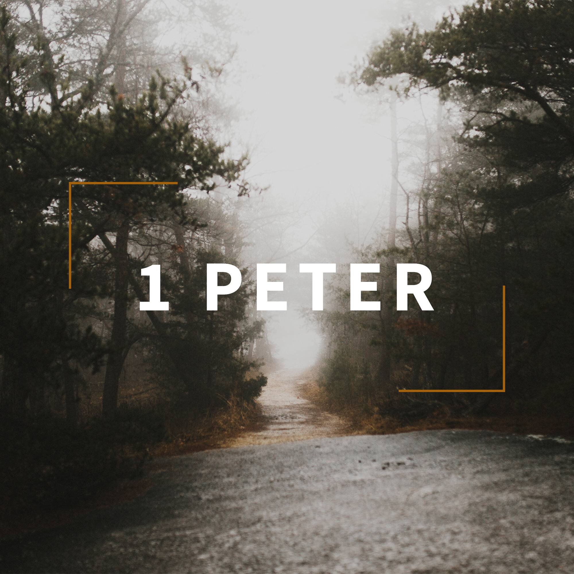 1 Peter Sermon Series