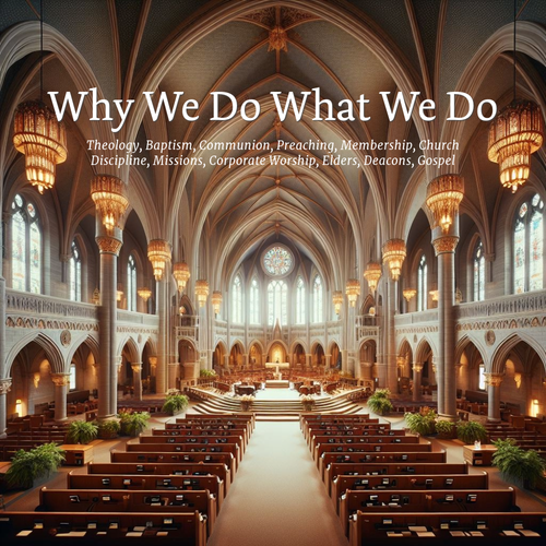 Why We Do What We Do
