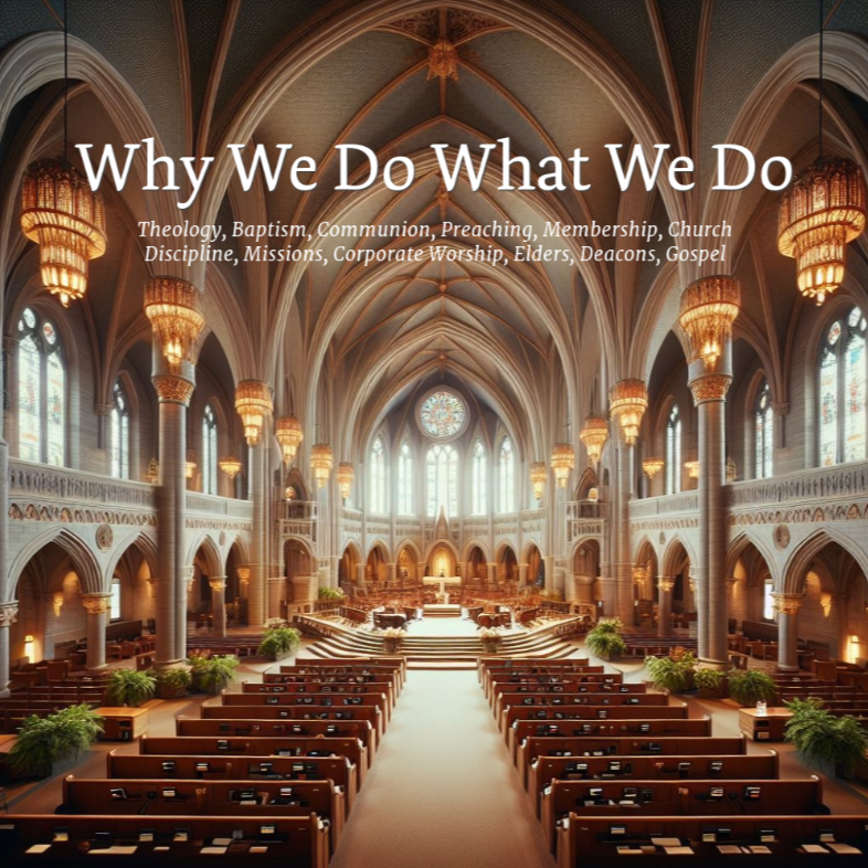 Why We Do What We Do