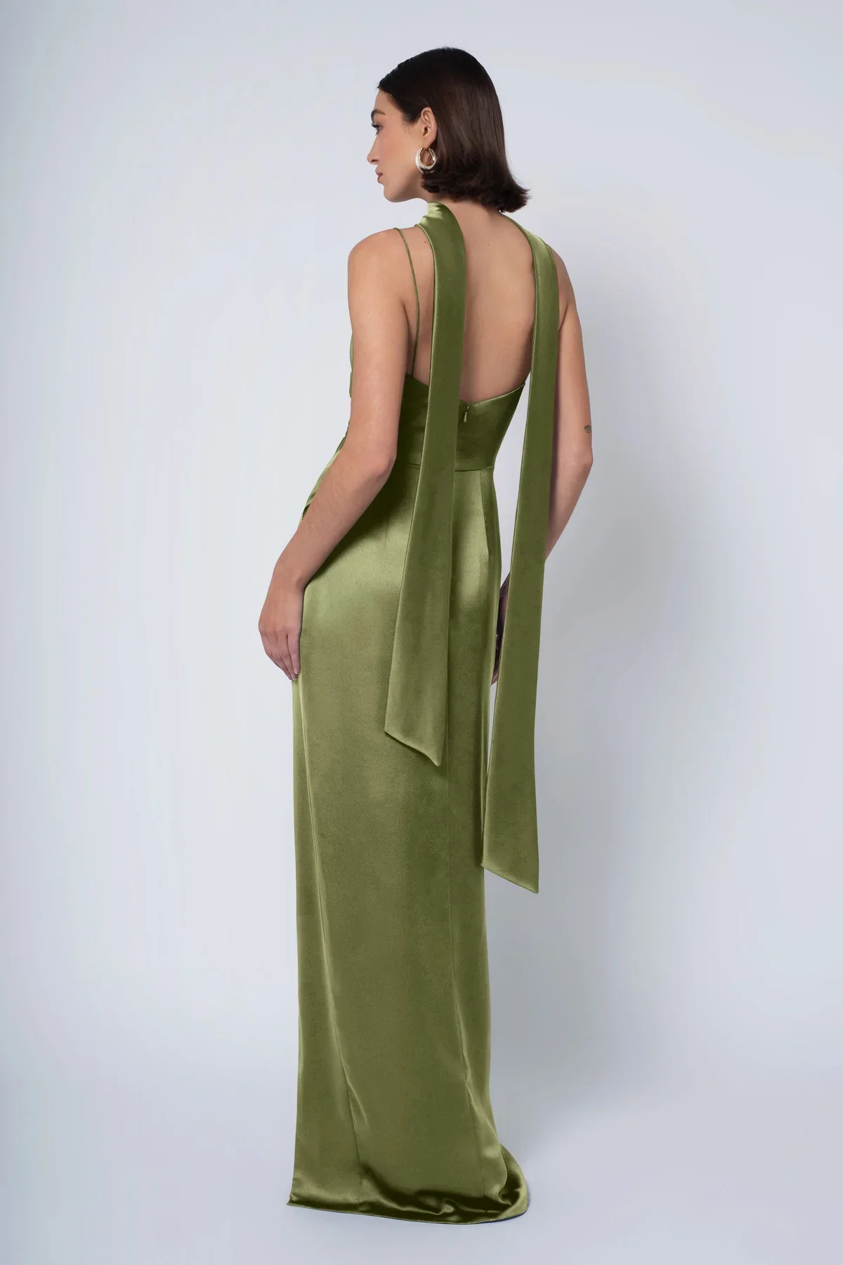 Wren_fern_3.webp