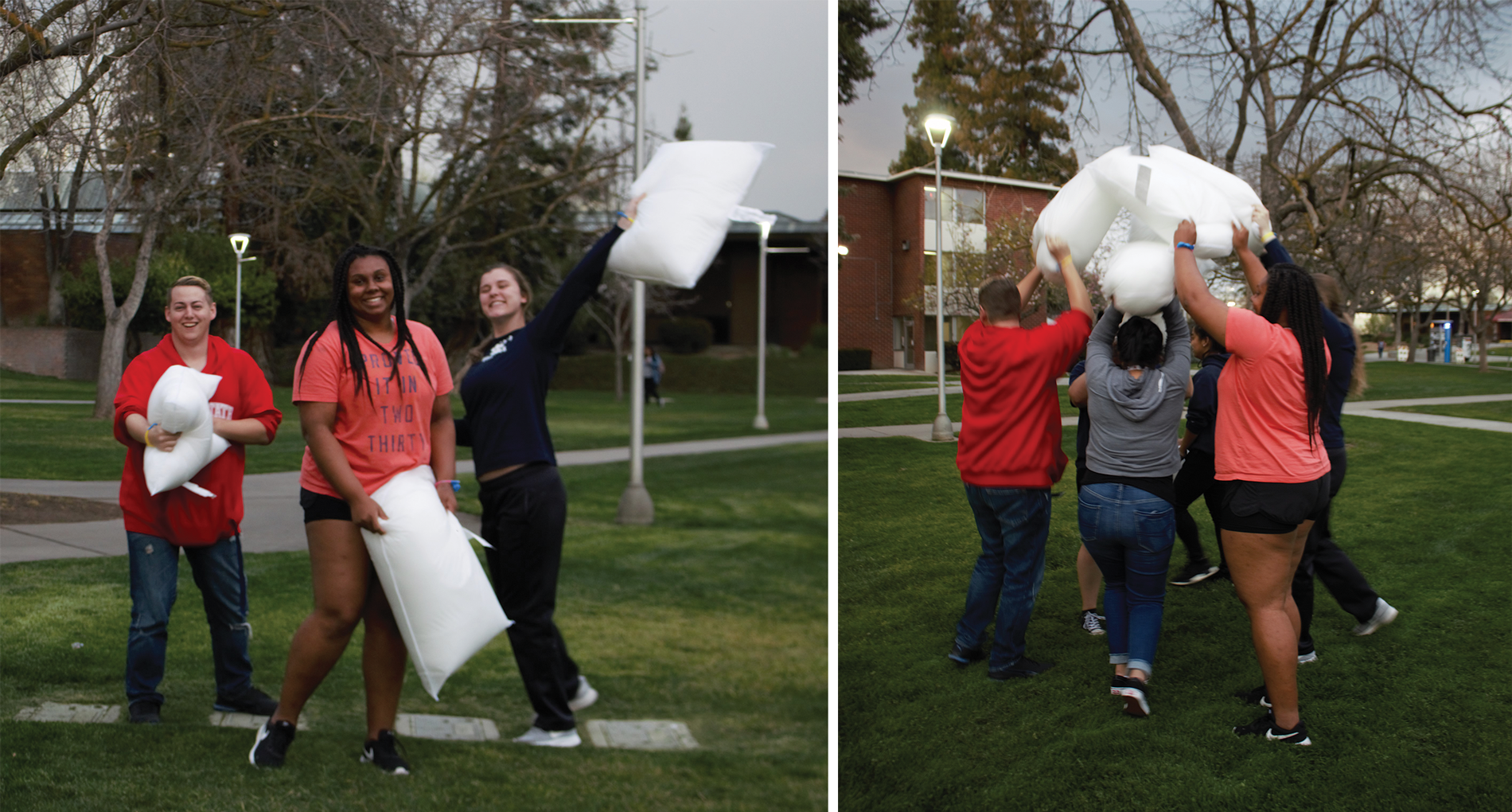 PillowFight.png