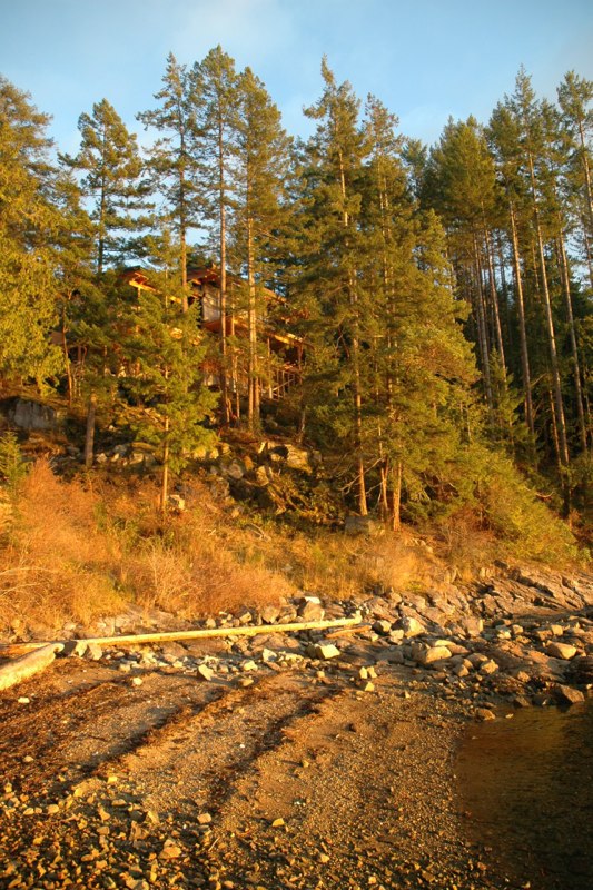 Beach at low tide