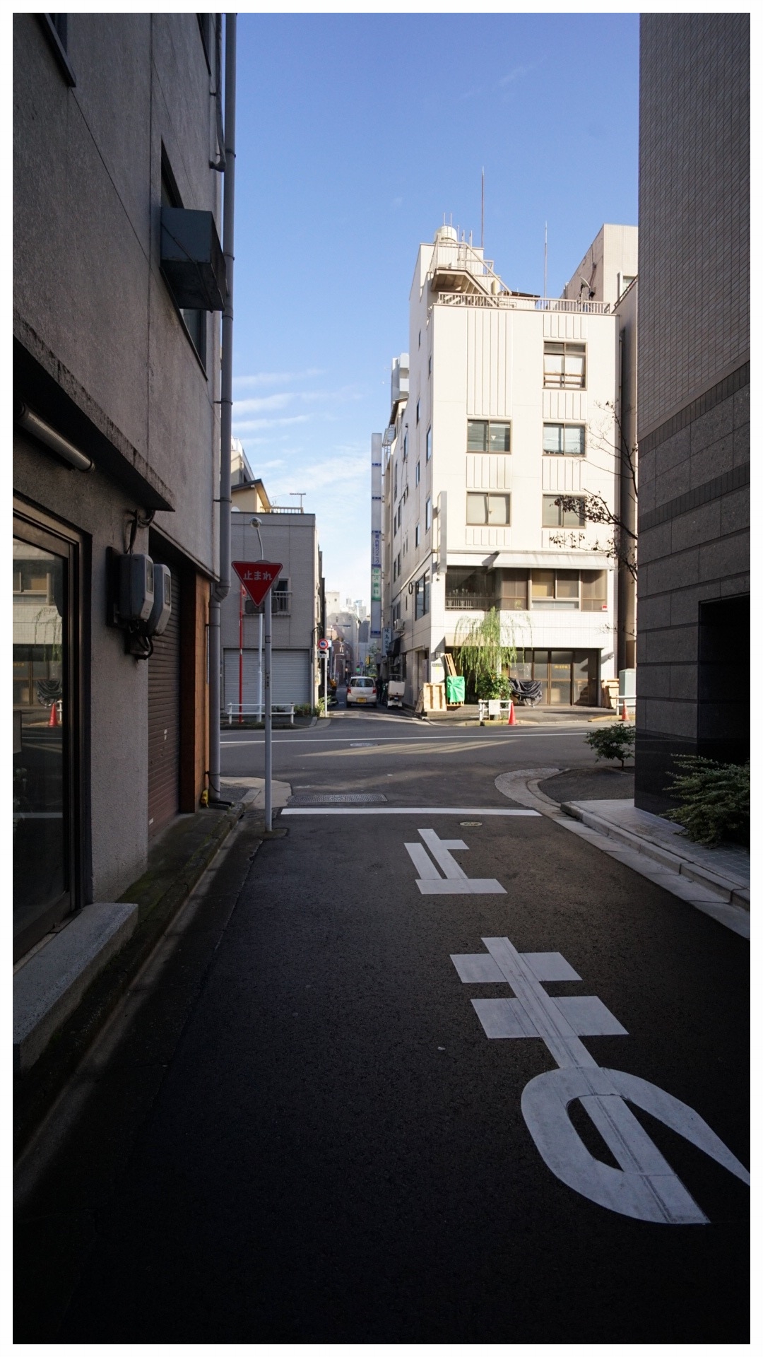 Alleys everywhere!