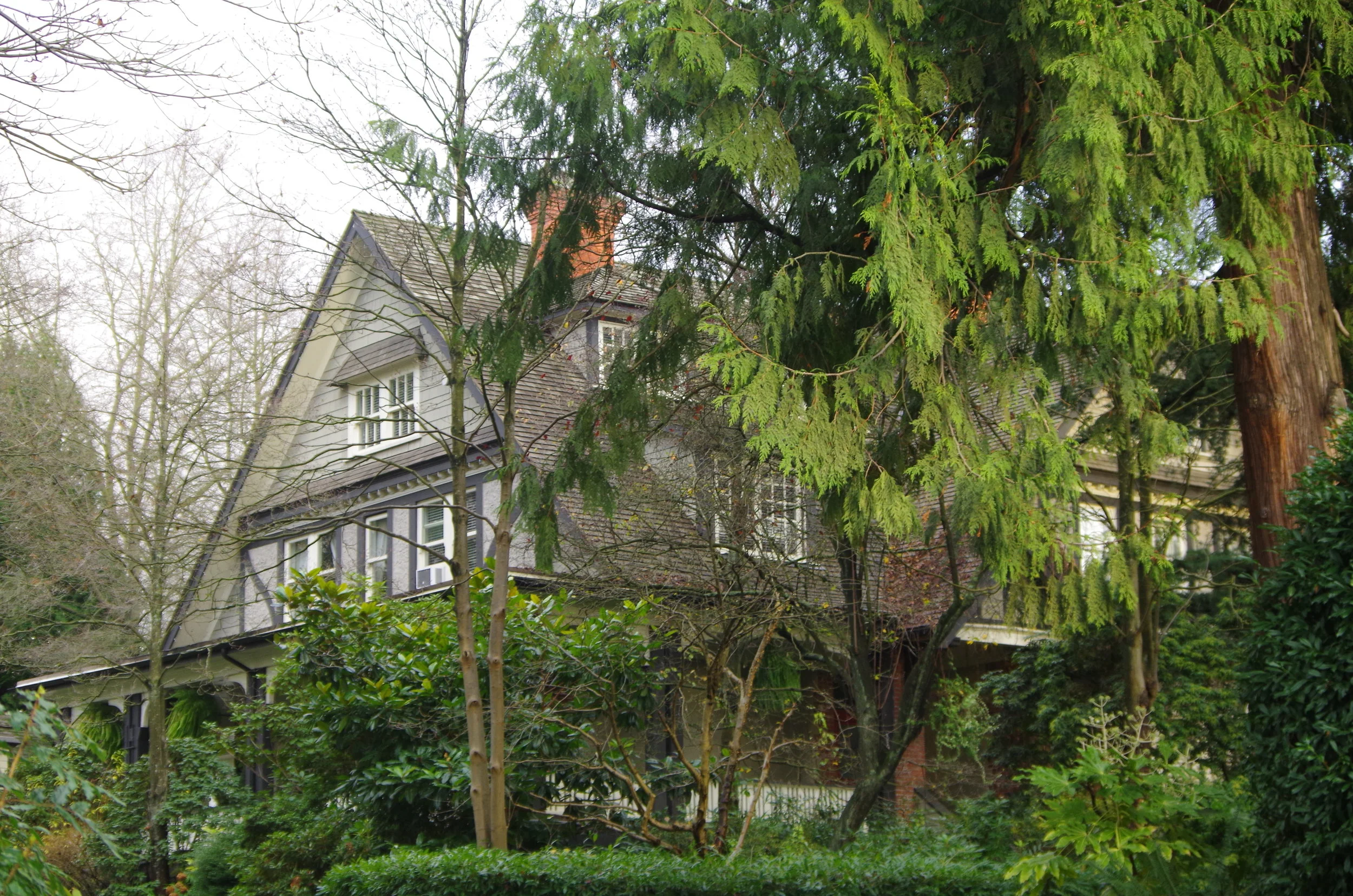 350 E 2nd St. NV (garden view).JPG