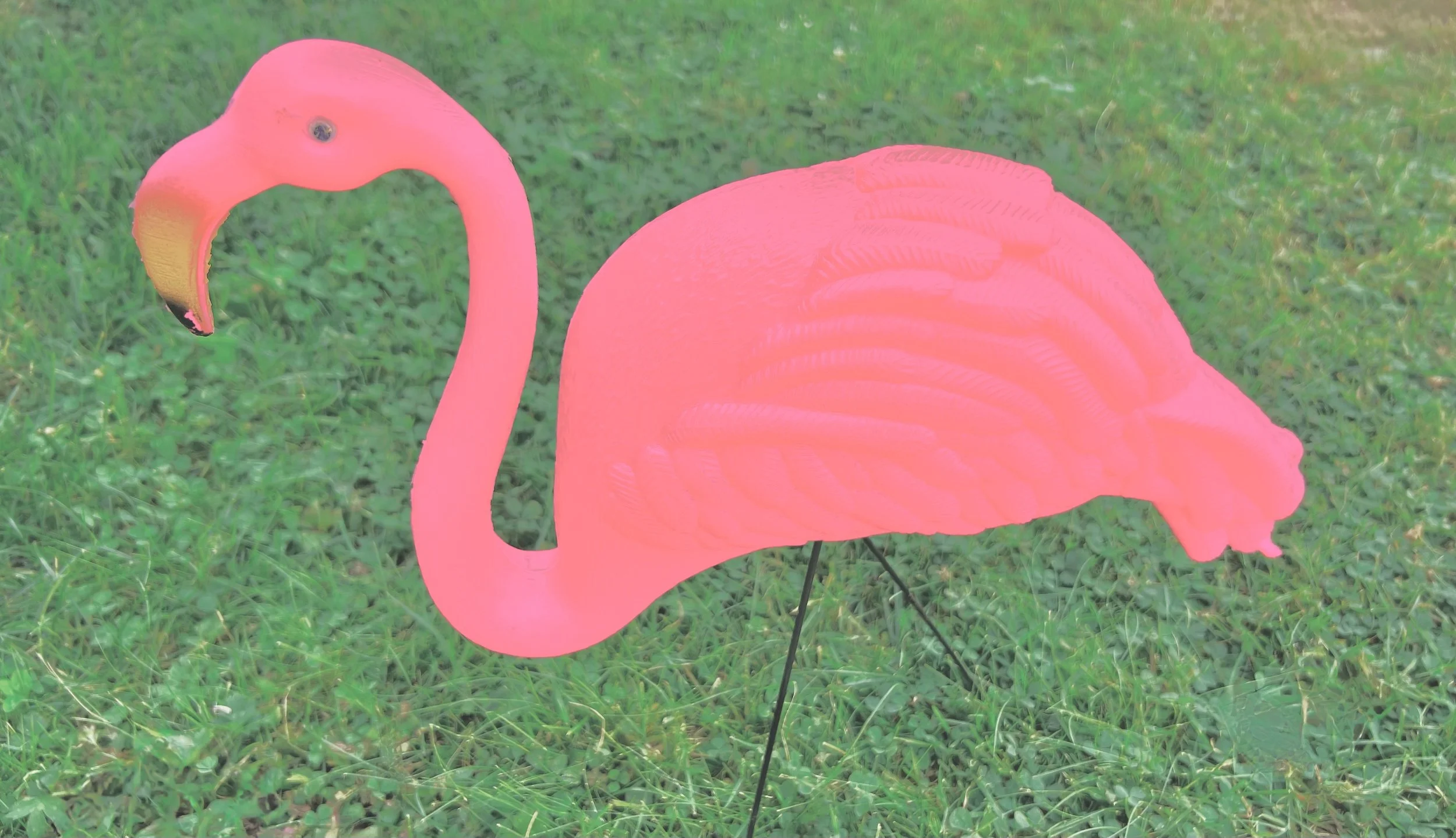 The Age of the Atomic Garden: Trends that Shaped Gardens in the 1950s