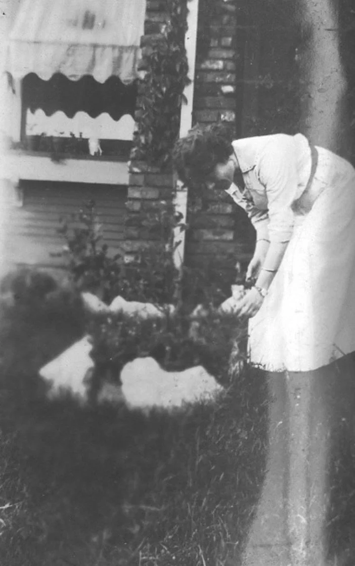 Screenshot 2025-02-20 at 4.39.40 pm.jpeg