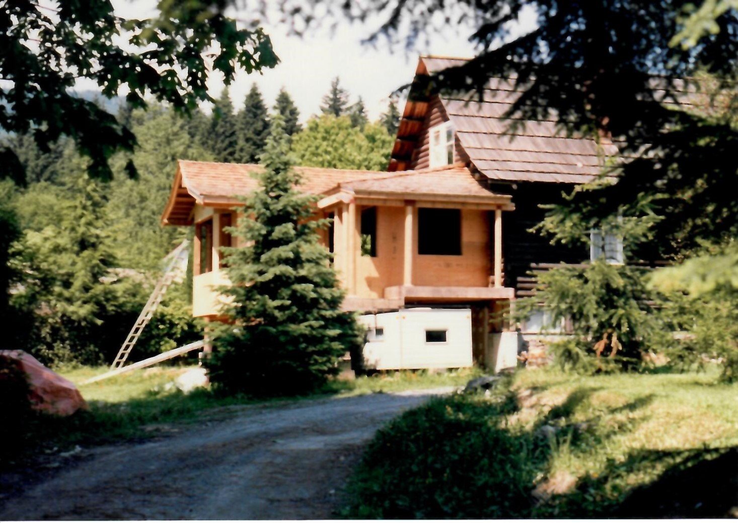 Gillis Reno  IV.jpg