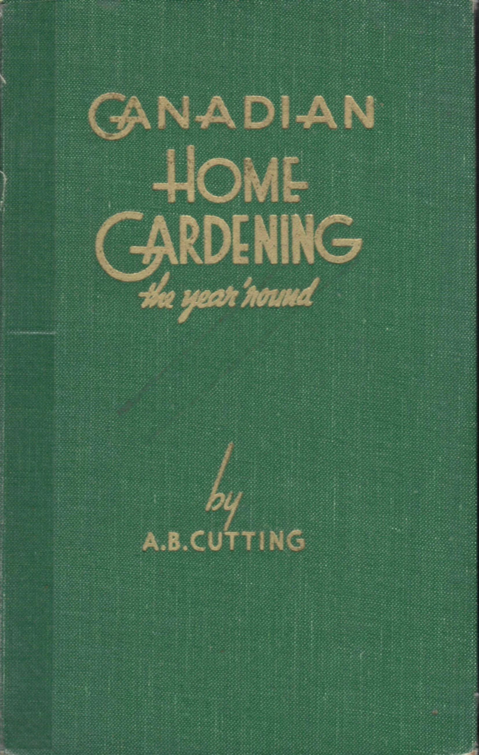 Book Cover.jpg