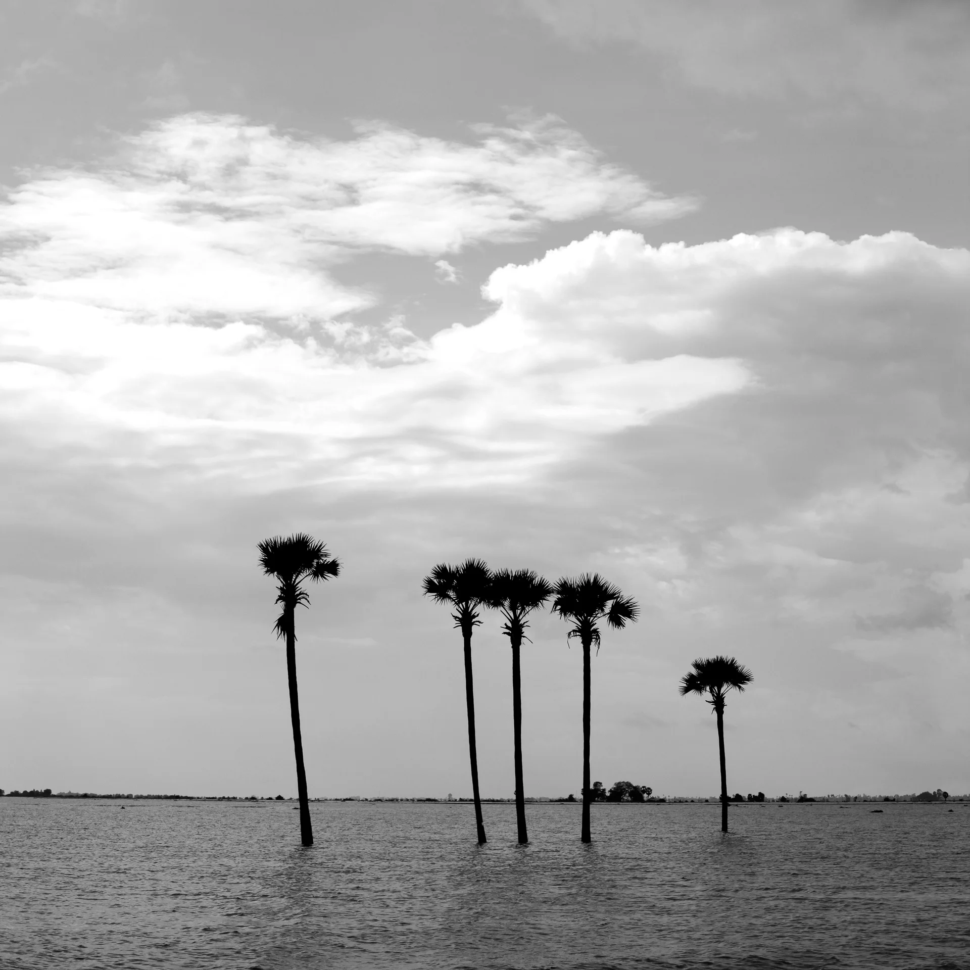 ||||||||||||||||||||POSTCARD||| Drowned