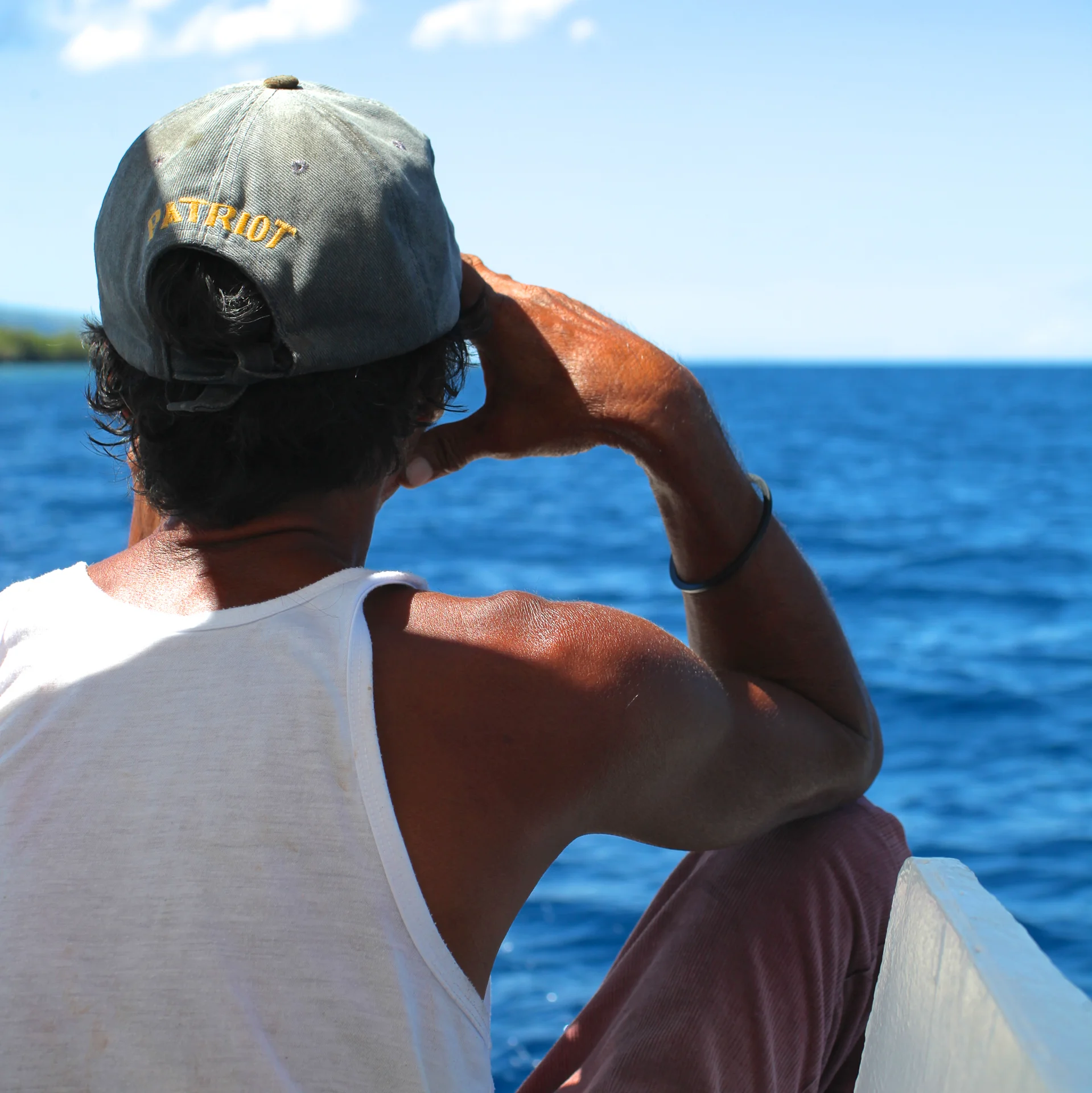 ||||||||||||||||||||POSTCARD||| El Patriota