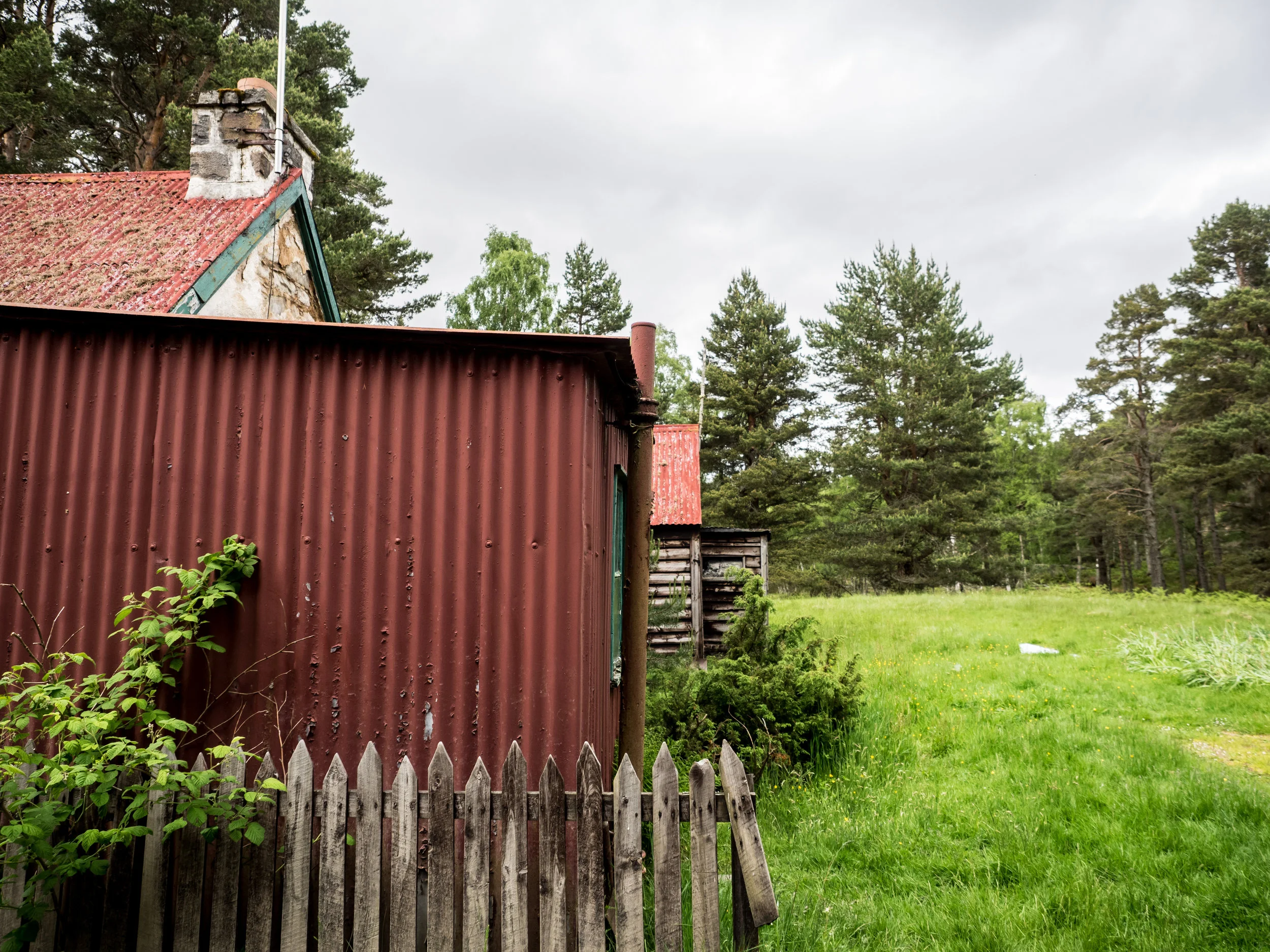 Cairngorms-60.jpg