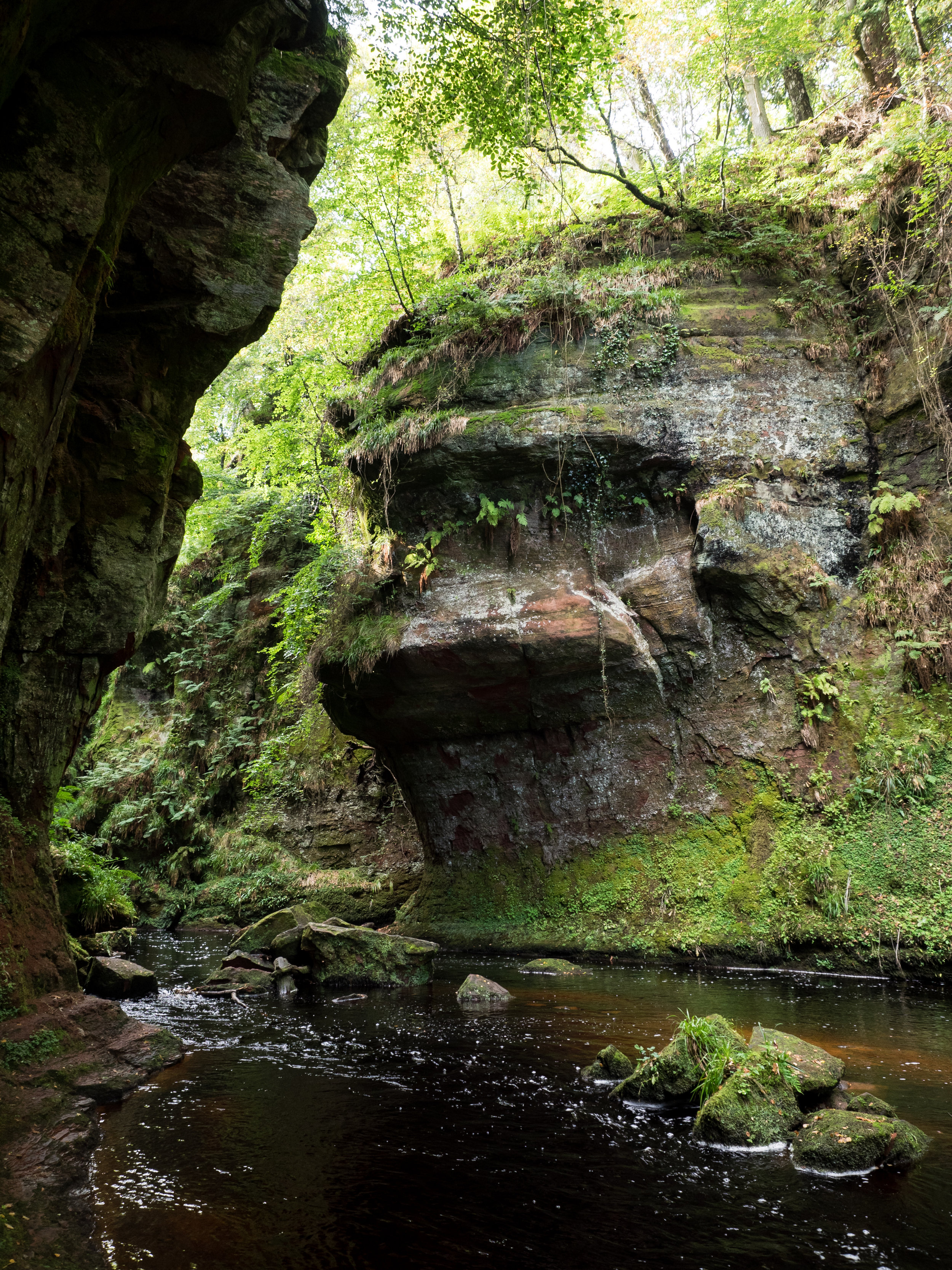 The Devil s Pulpit Stomping Feat The Devil s Pulpit Stomping Feat