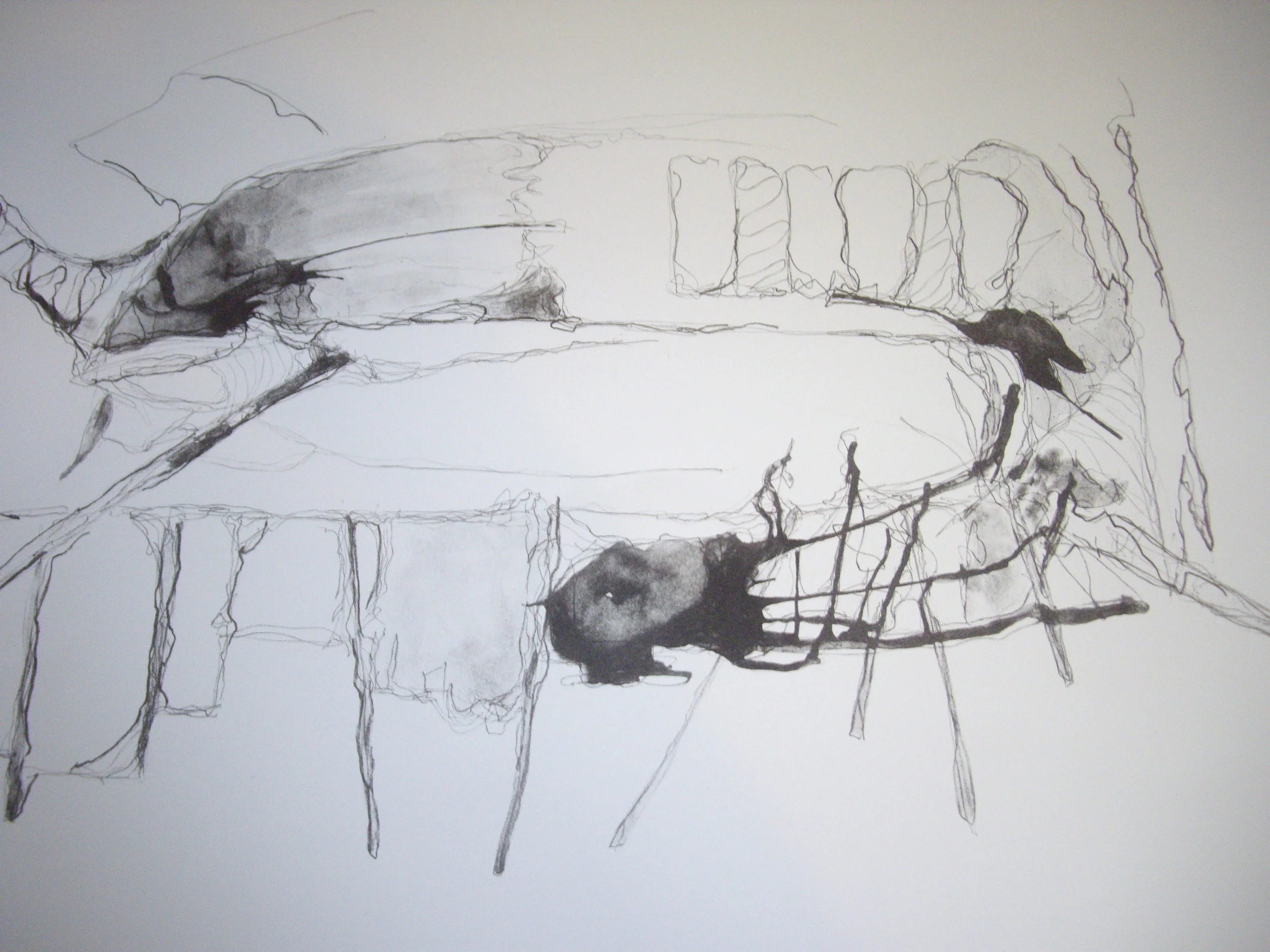 Drawn Lithograph BAS.JPG