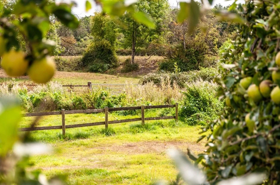 Frome Printmakers Fine Art Studio St Algar's Yard near Frome