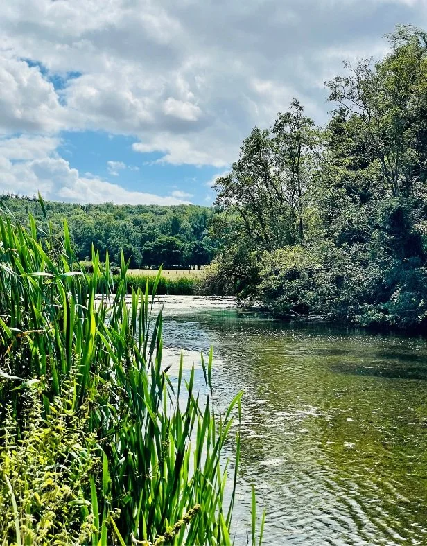 Frome Printmakers - Lake views near the studio