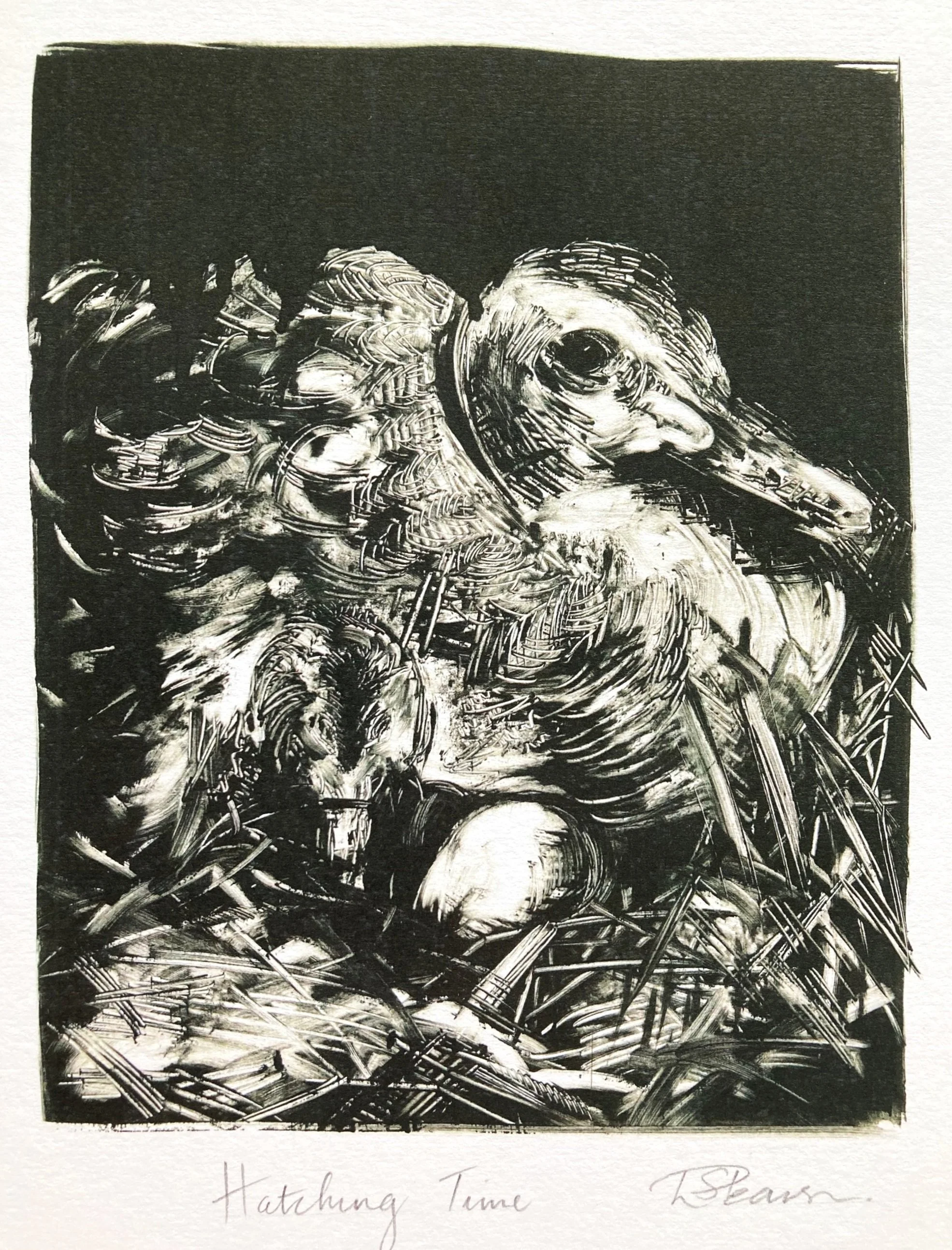 Hatching Time Monoprint - Sophie Pearson