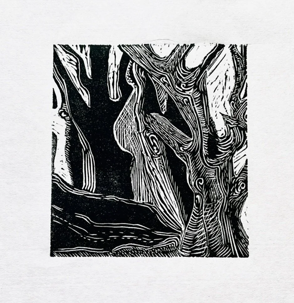 Through the Beeches, Wood Engraving - Hannah Cantellow