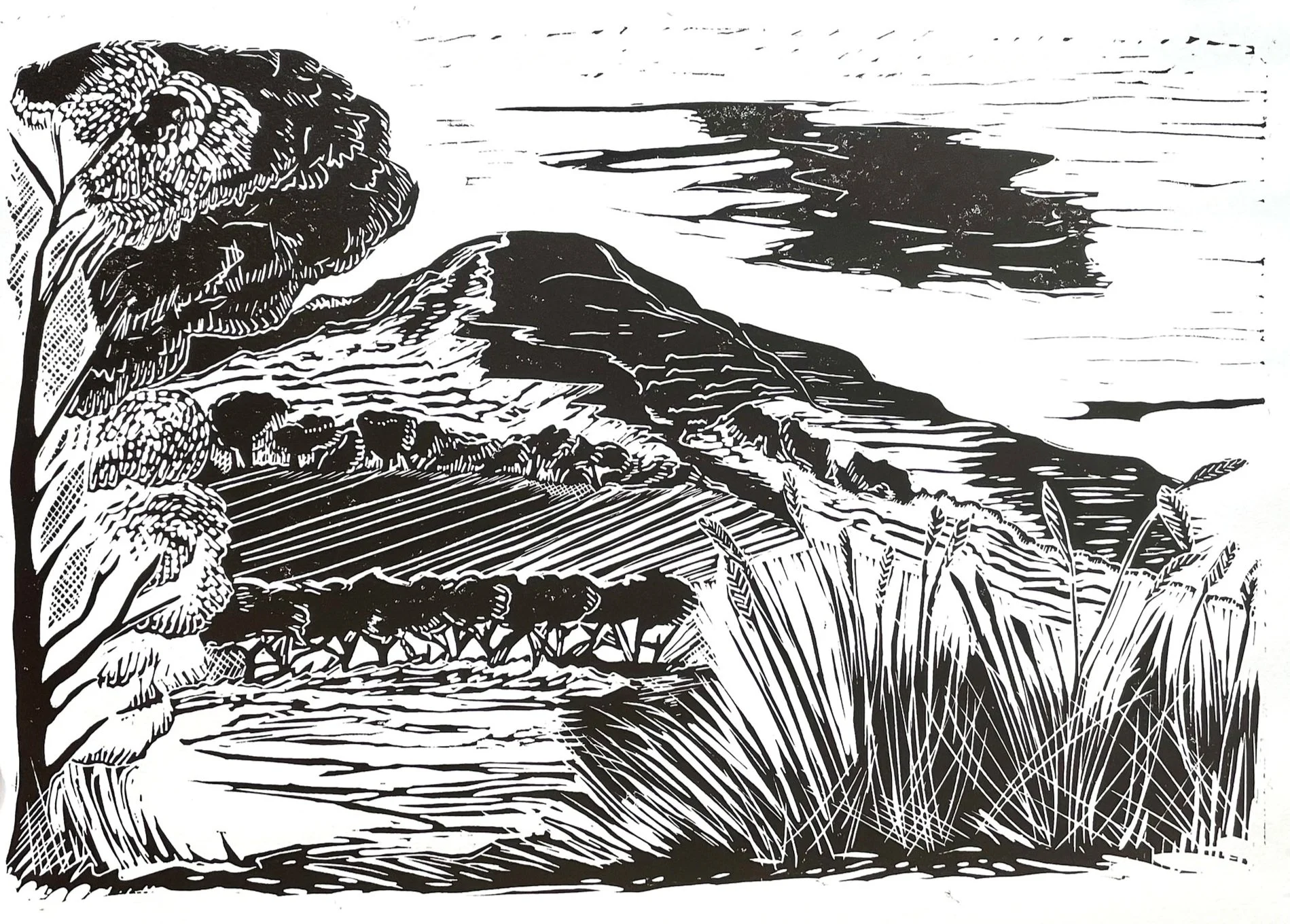 Cley Hill Warminster, Linocut Print - Hannah Cantellow