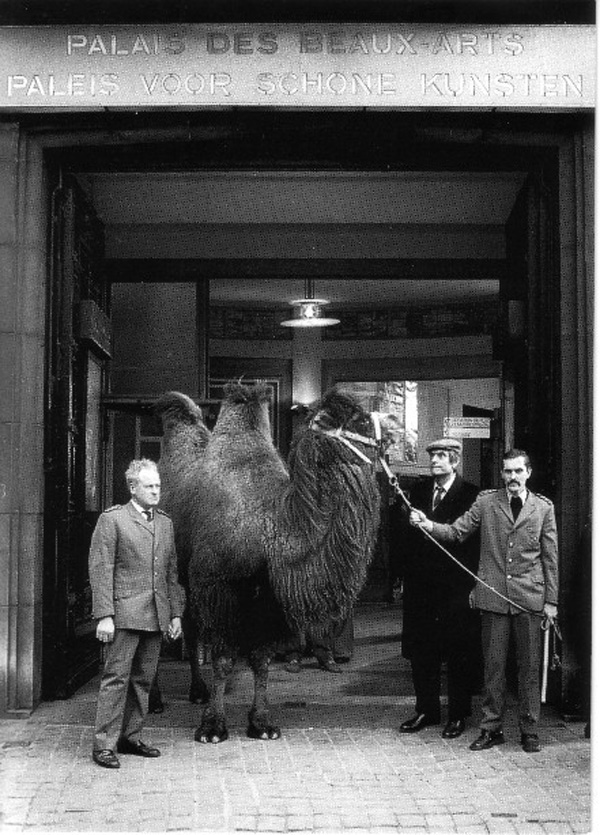   Broodthaers avec un chameau devant l'entrée du Palais des Beaux Arts, Bruxelles . Photo: Maria Gilissen Broodthaers 
