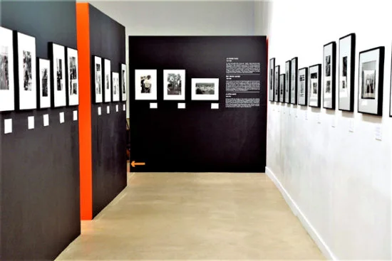 accueil_freed_11-1-550x367.jpg
