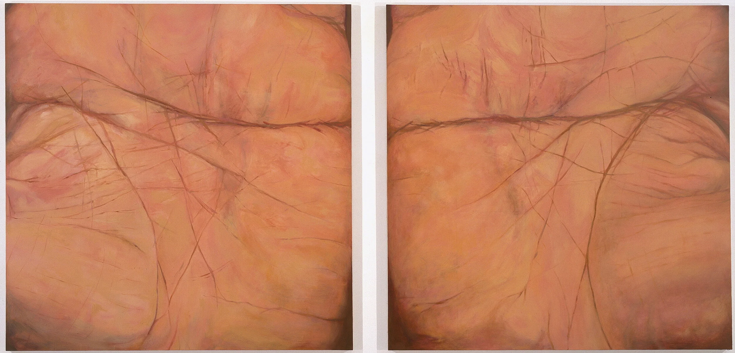 Byron Kim, Palms (Head Over Heart), 2005
