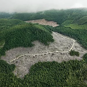 Edward+Burtynsky.jpg