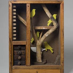 Joseph Cornell copy.jpg