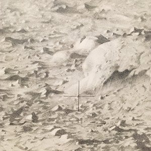 Vija Celmins, moon copy.jpg
